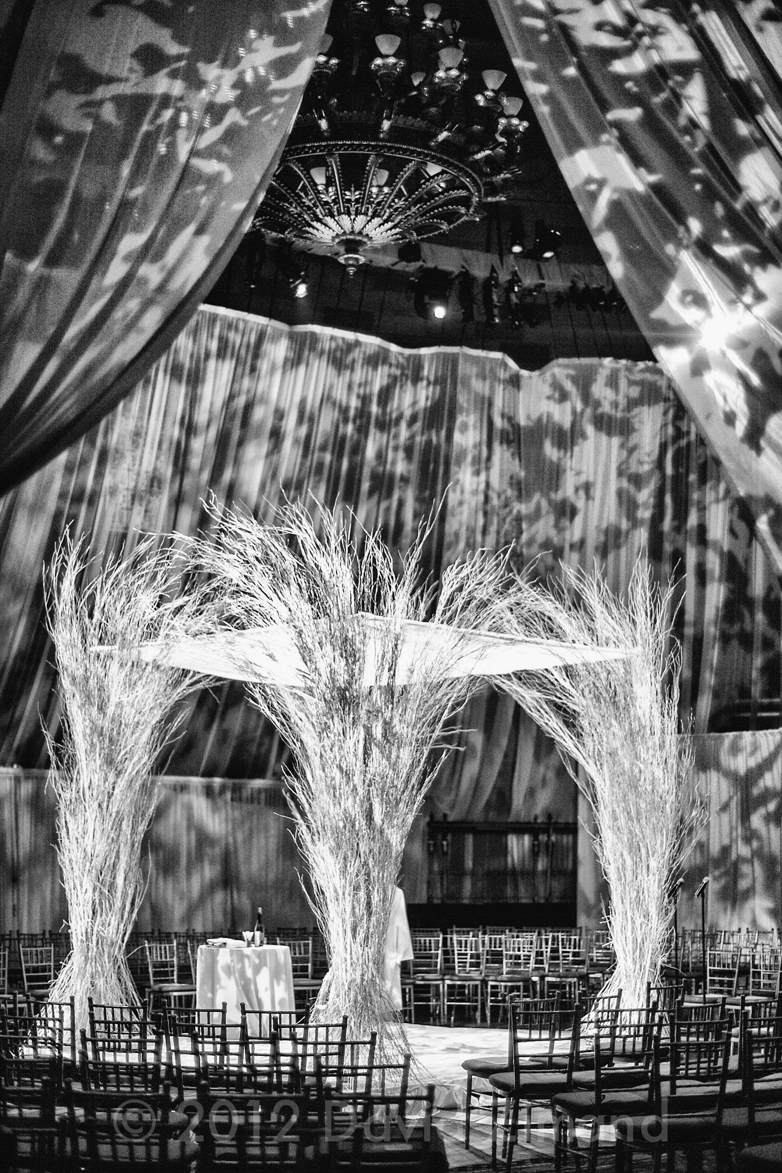 IMG_7658-Edit.jpg