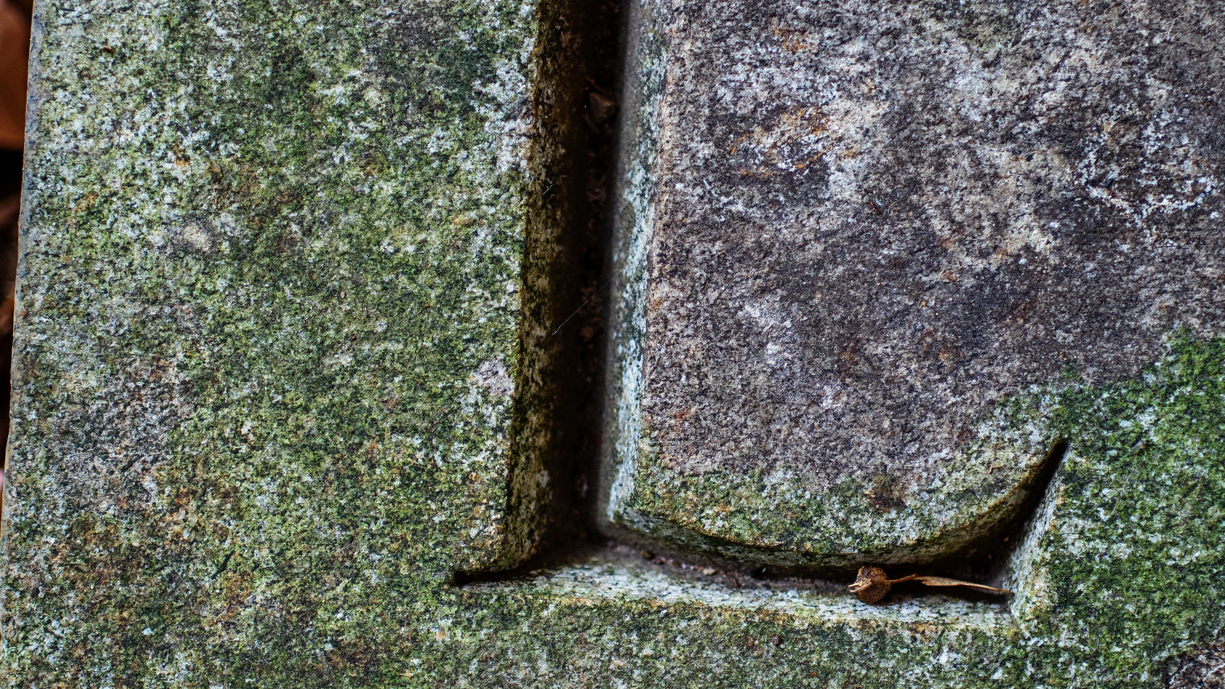 detail crop of above to show tiniest of cob web remains in cracks. scientific, military and forensic use come to mind.