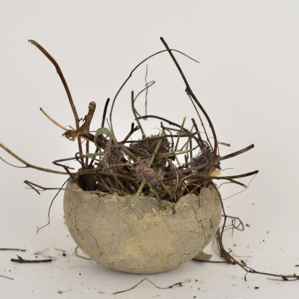 vessel.42d.jpg