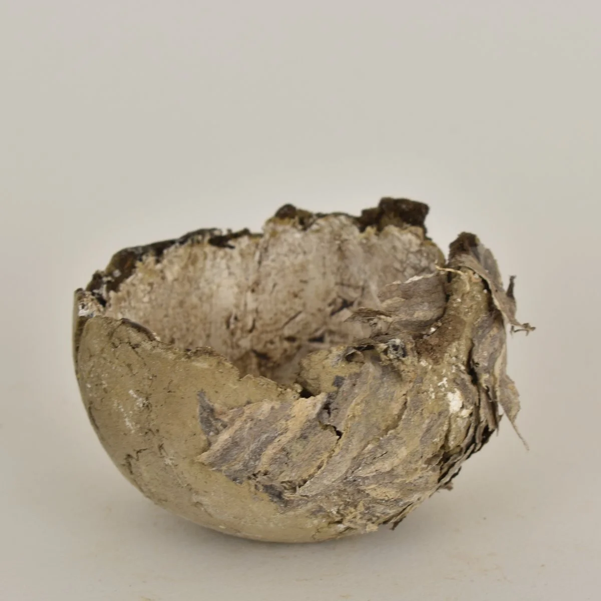 native vessel-61.jpg