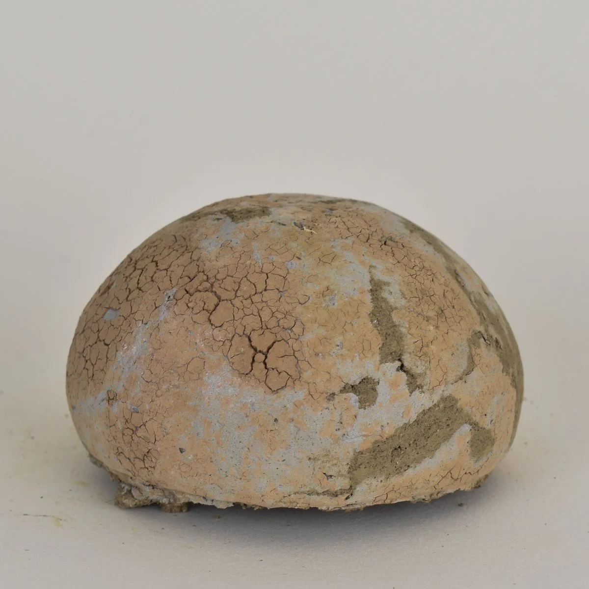 native vessel-79.jpg