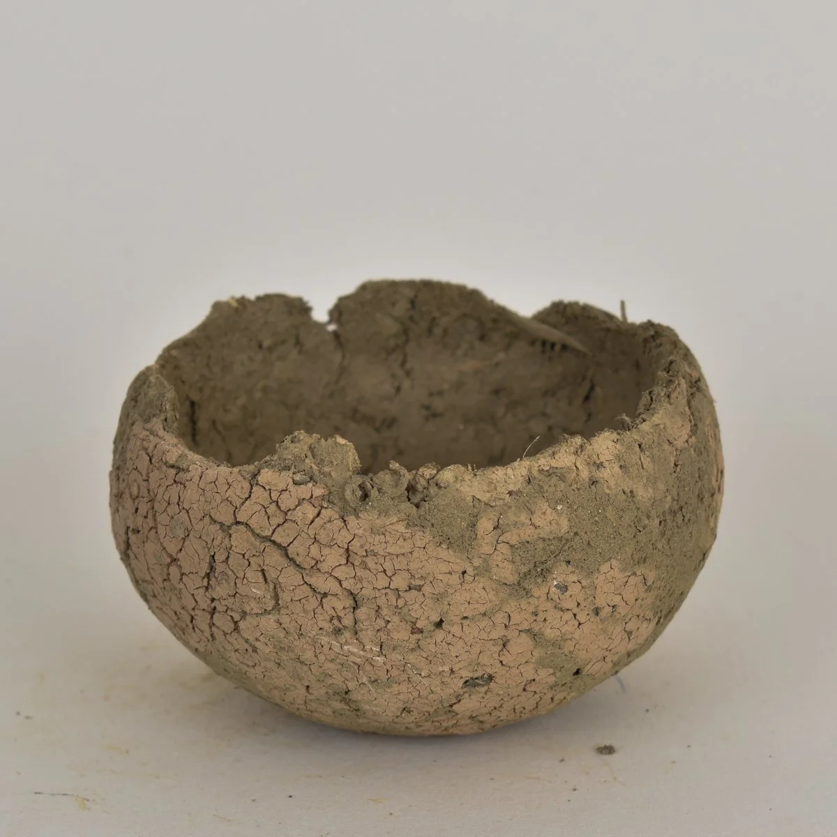 native vessel-81.jpg