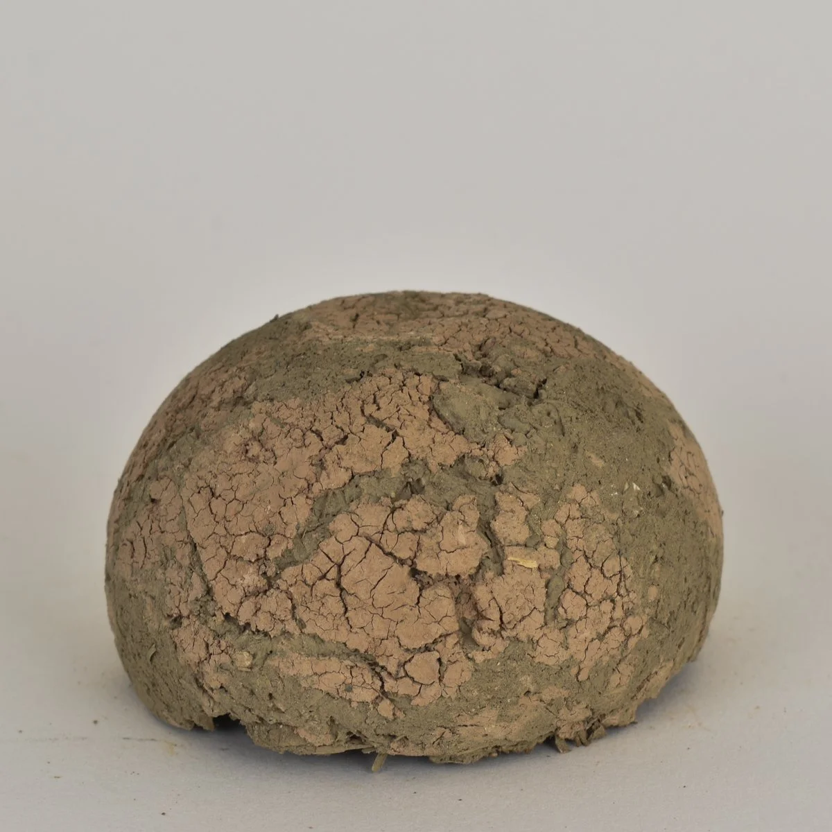 native vessel-83.jpg