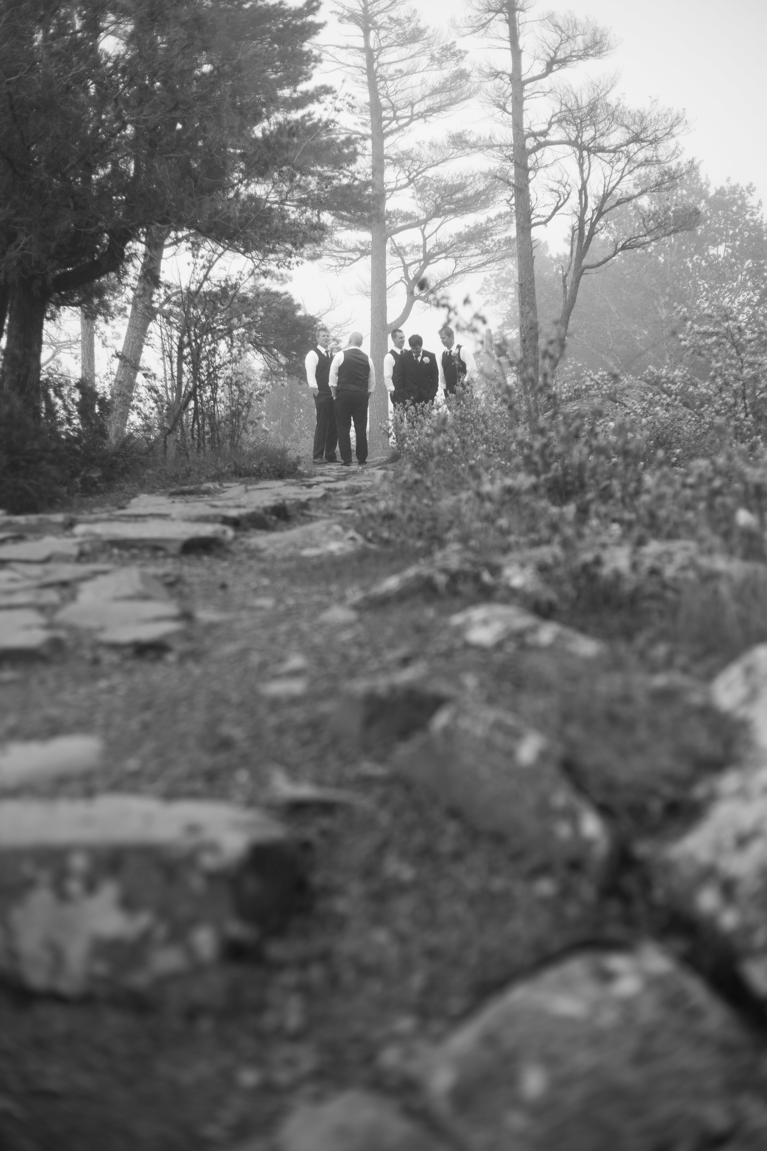 _MG_0747.jpg