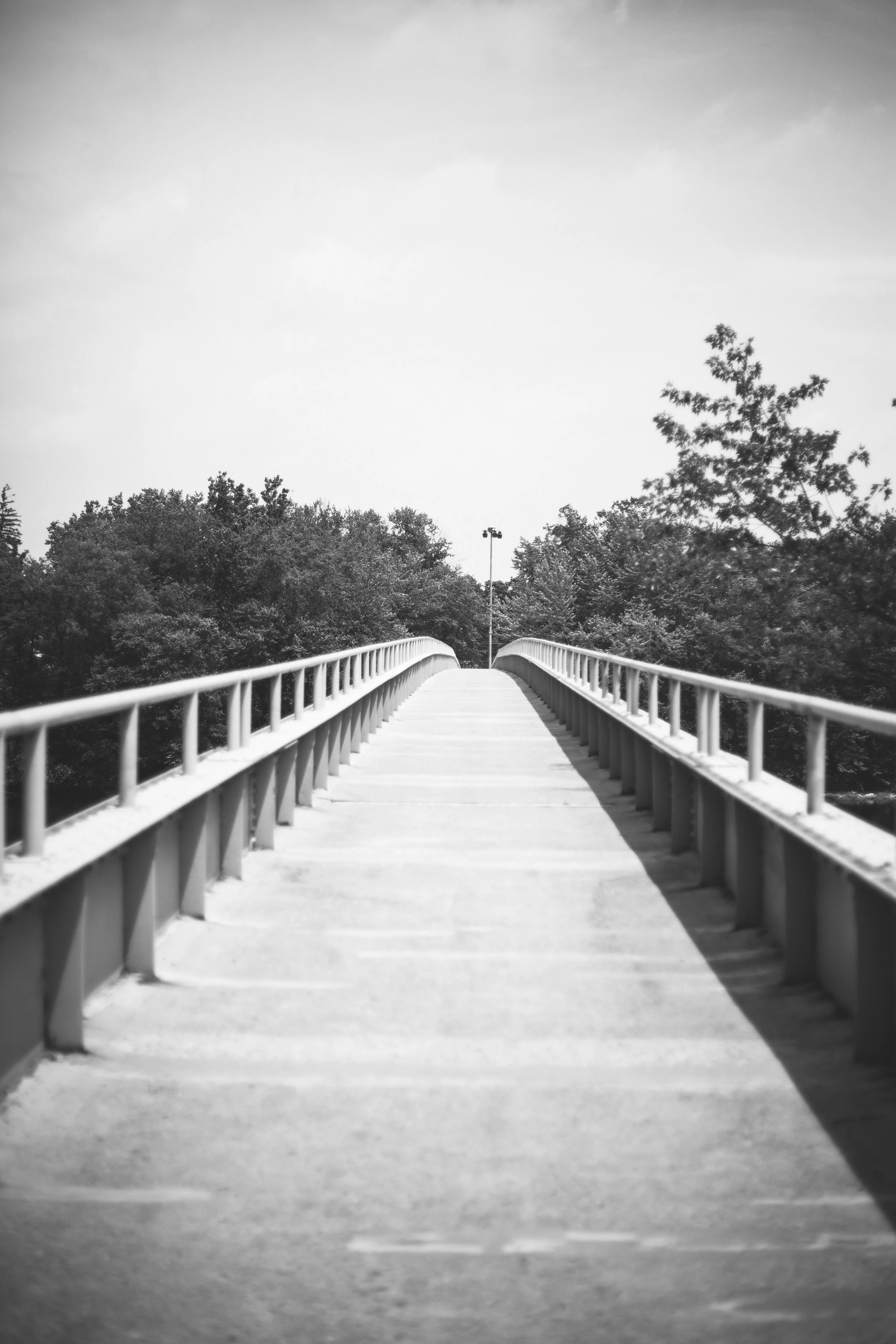 _MG_2794.jpg