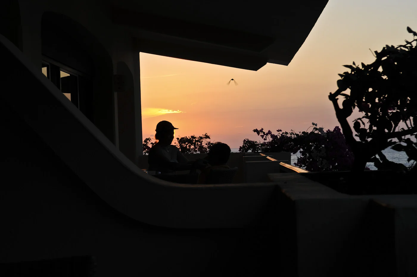 barcelo-31.jpg