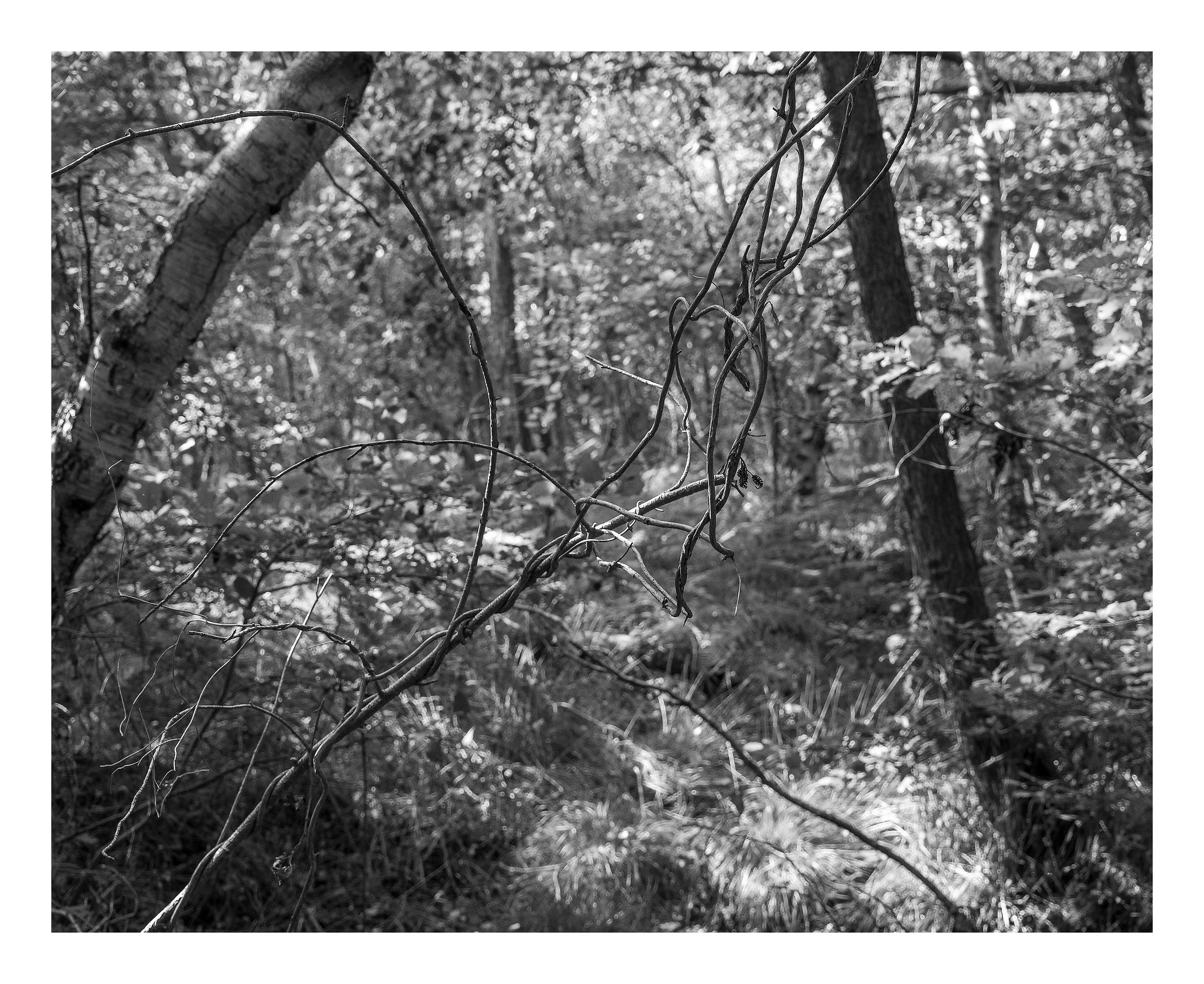 Project_20250921_0002.jpeg