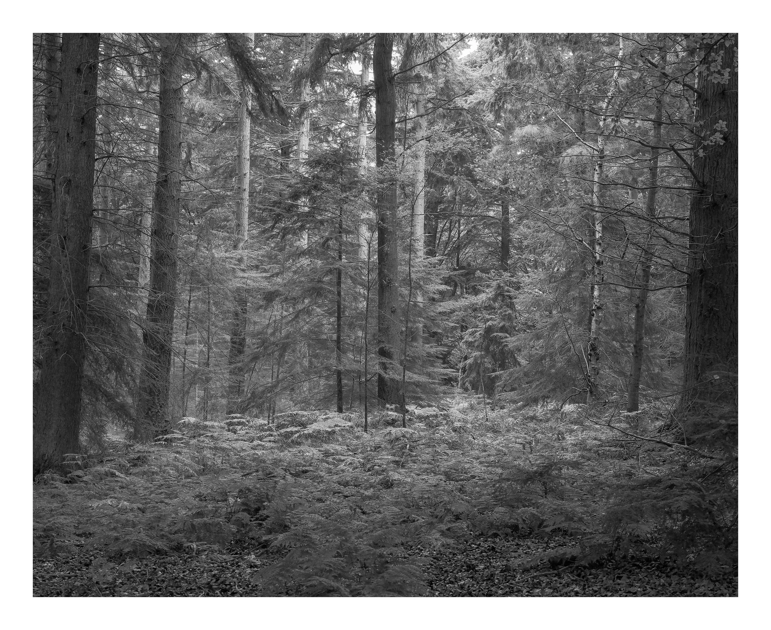 Project_20250920_0001.jpeg