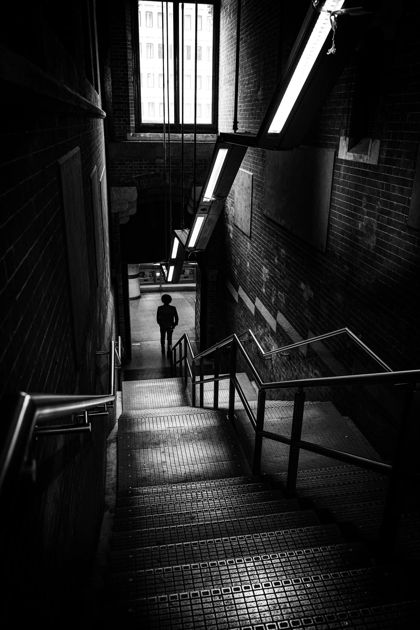 54612036193_a76710cb63_k.jpg