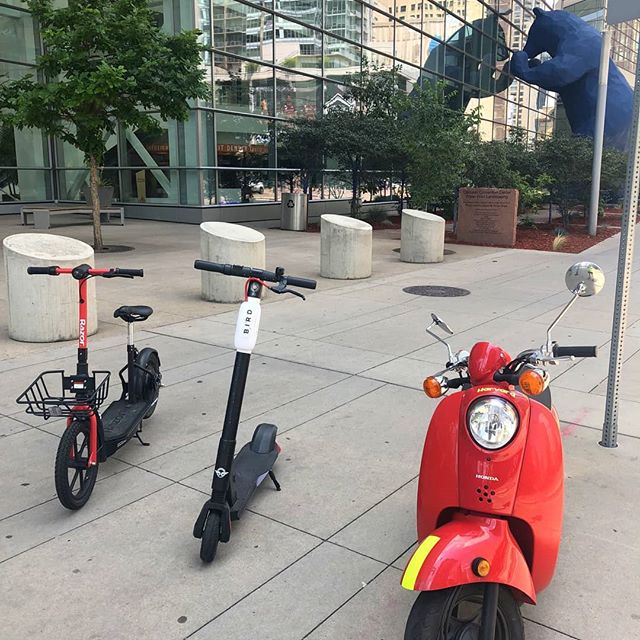 Fun. Funner. Funnest.
We will train you how to ride our Vespas. It is way more fun. 
#CuterOnAScooter #scootdenver #scooter #bigkidscooters #thingstodoindenver #visitdenver #milehighcity #bird #lime #uber #lyft #spin #razor #scoot