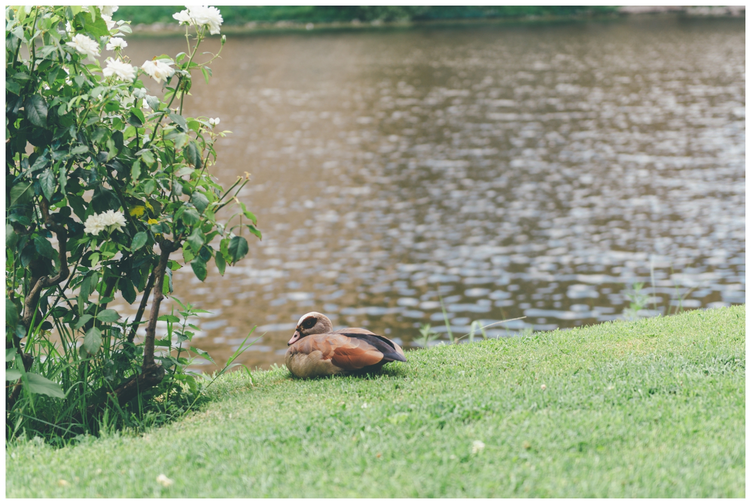  FunkyBird Photography Wedding Photographer in Italy&nbsp;  #destinationwedding #weddinginitaly #weddinginflorence #weddingphotography #smallwedding #funkybirdweddingdesign #funkybirdphotography&nbsp; 