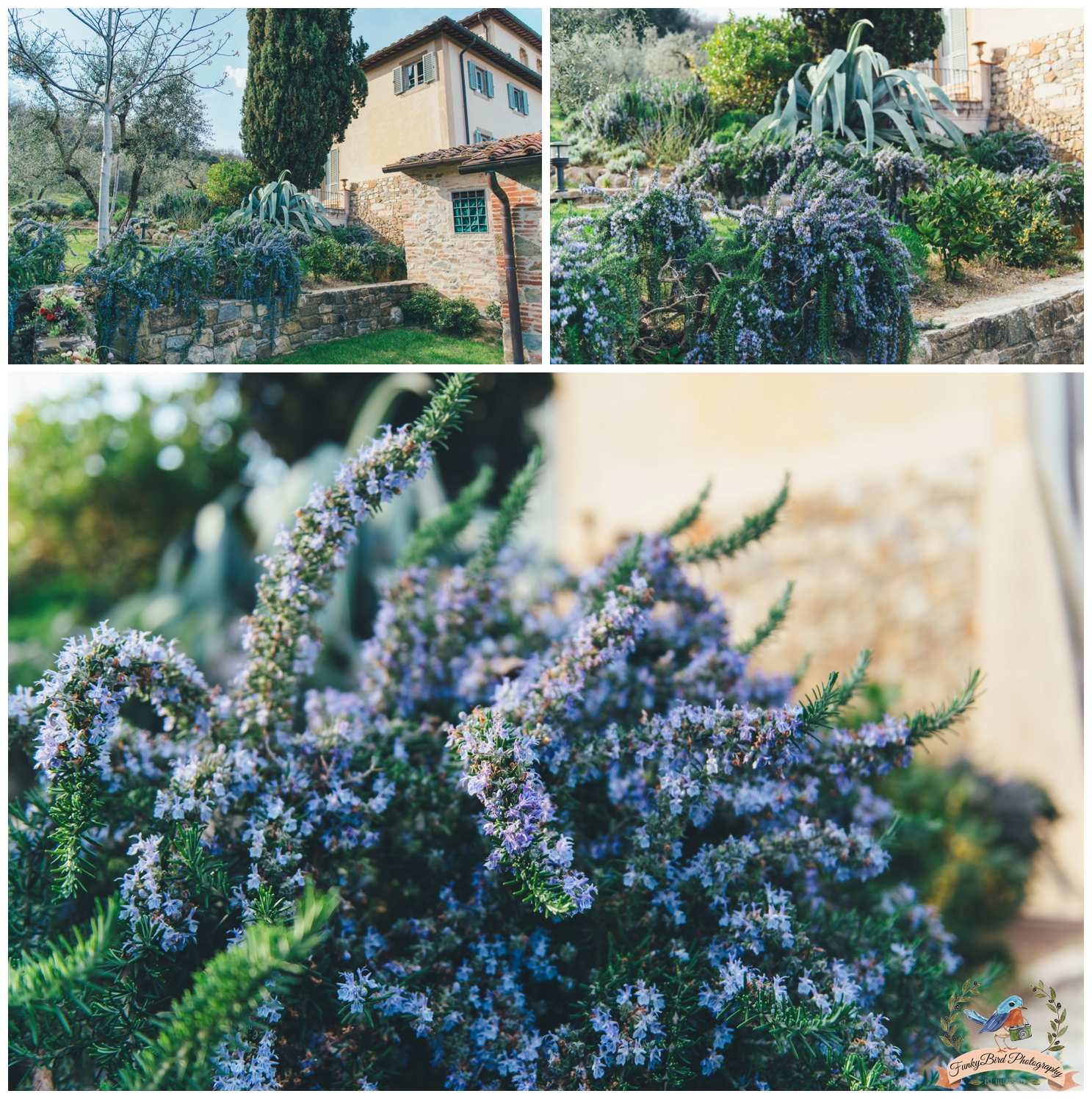 wedding photographer in tuscany, wedding in tuscany, wedding in Italy, destination wedding italy, wedding photographer in Italy, bride, trouwen in toscane, funkybird wedding design, bröllop i italien, wedding in florence, wedding venue tuscany