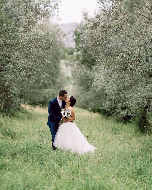 Beautiful olive groves.
.
.
With @trouwenintoscane @funkybirdfirenze @marinamengel
.
.
.
.
.
.
.
.
#trouwenintoscane #weddinginitaly #weddingintuscany #brollopiitalien #tuscanywedding  #funkybirdweddingdesign #funkybirdphotography #bruiloftintoscane 