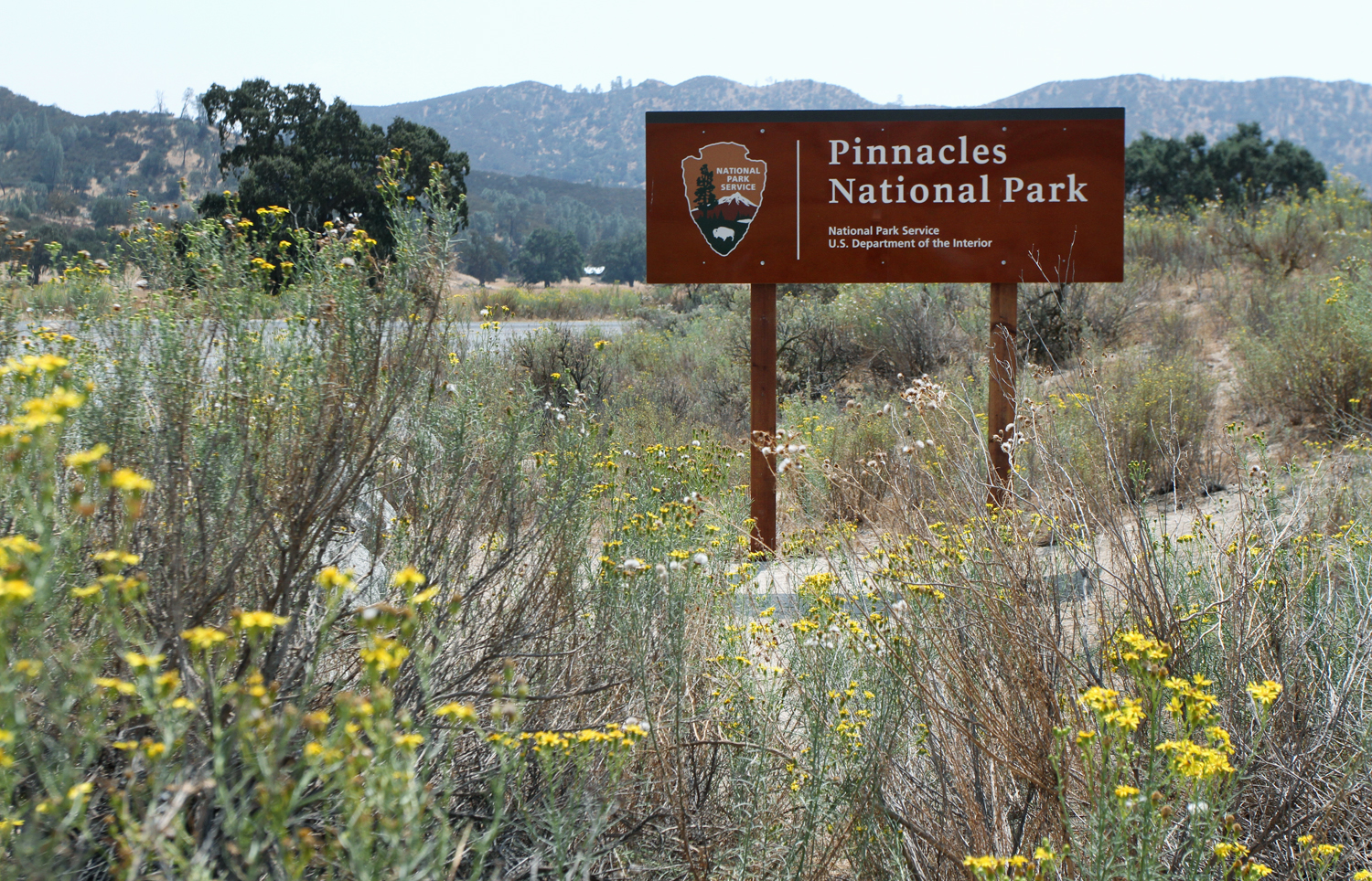 PINNACLES4w.jpg