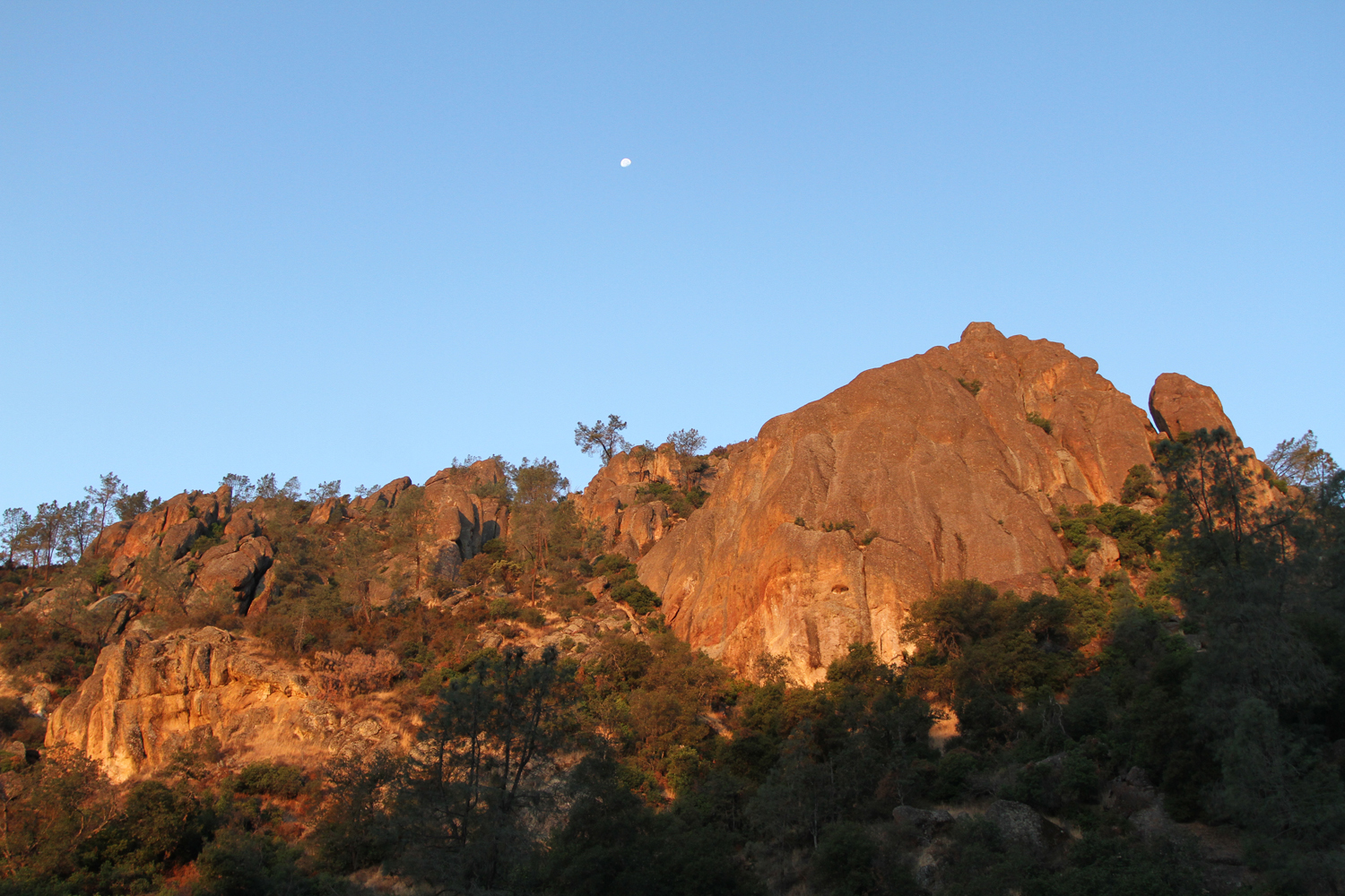 PINNACLES9w.jpg