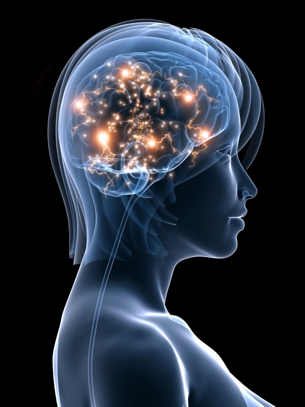 Your brain on meditation.