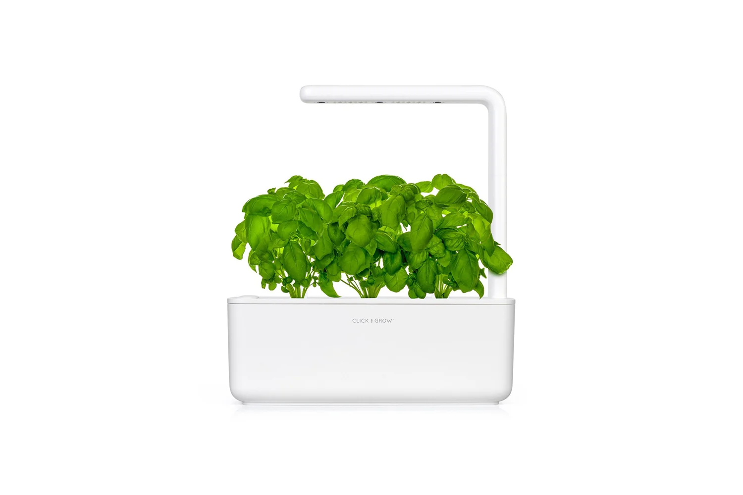 planter_front_basil_2.jpg