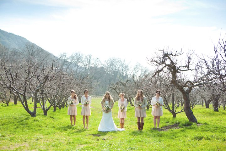 Girls inOrchard.jpg
