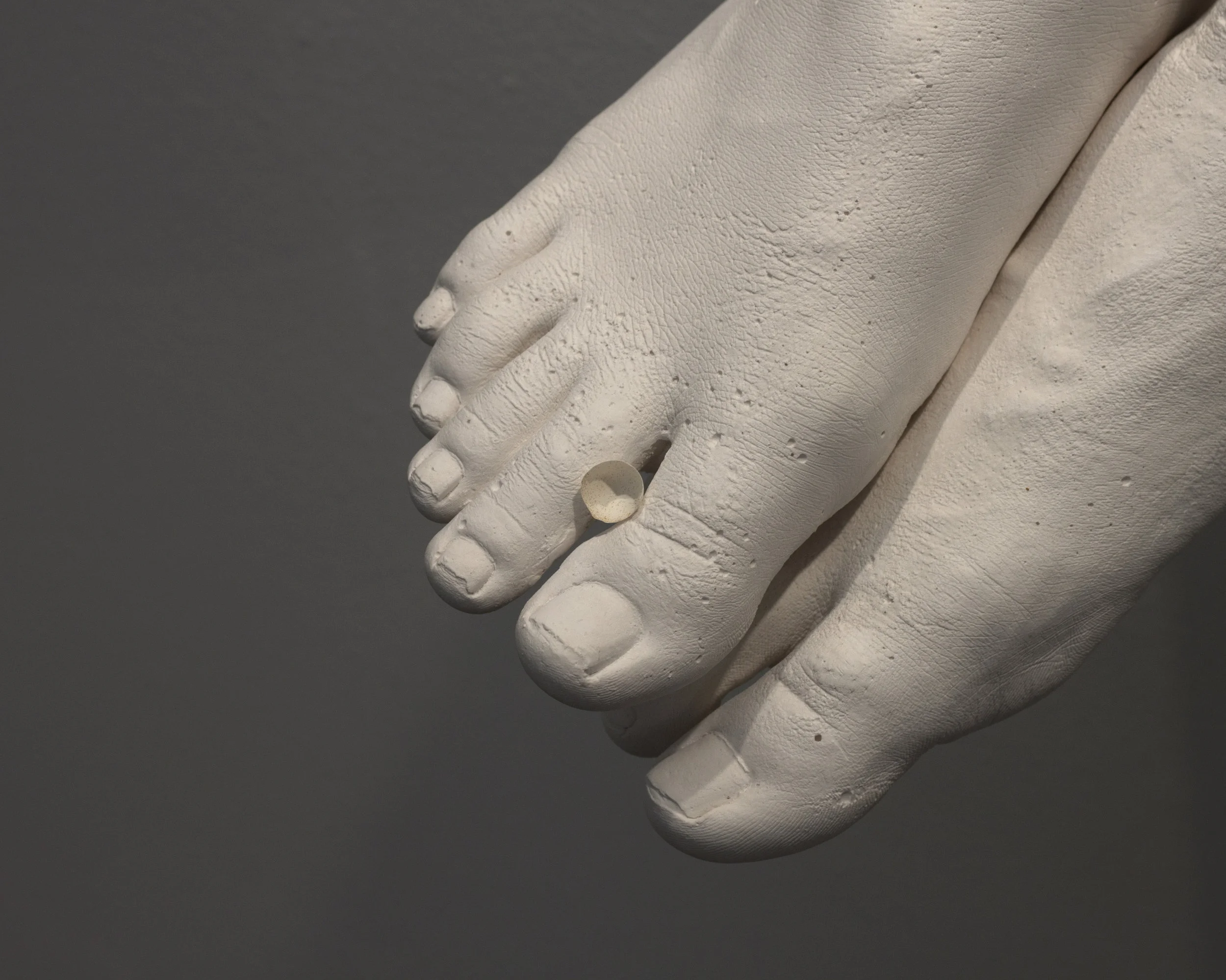 Corroborate (detail)