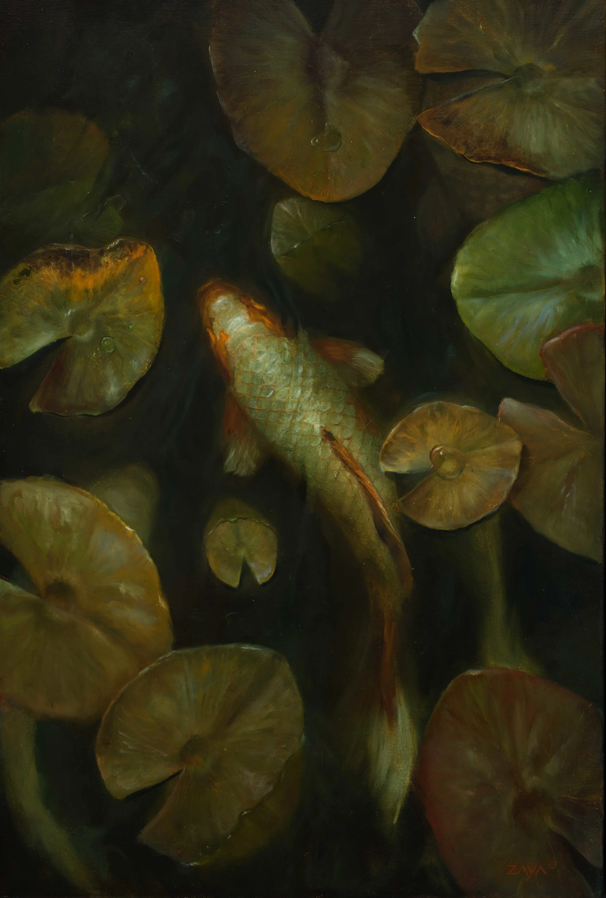 Drifting Through the Lilies