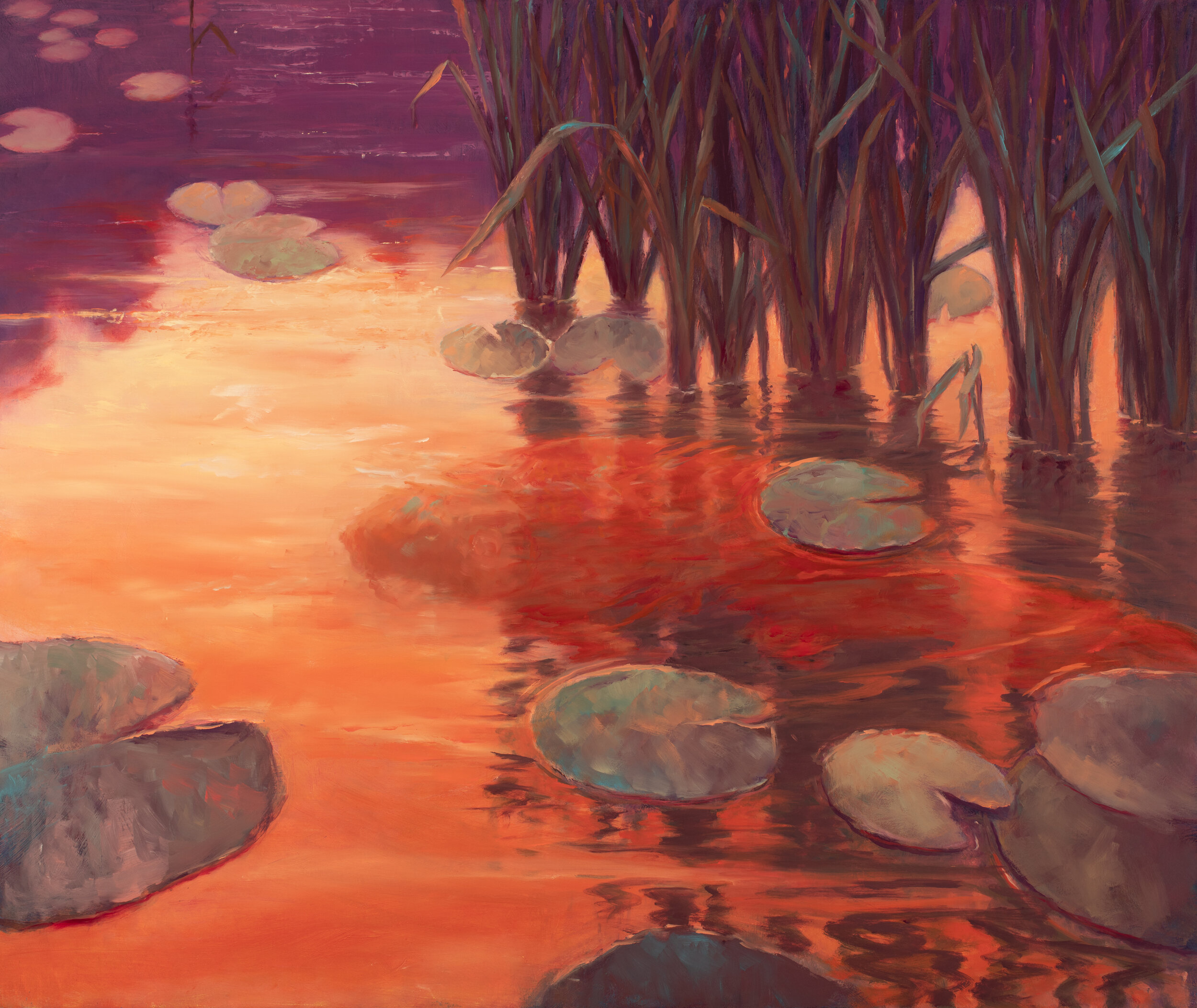 Evening Color