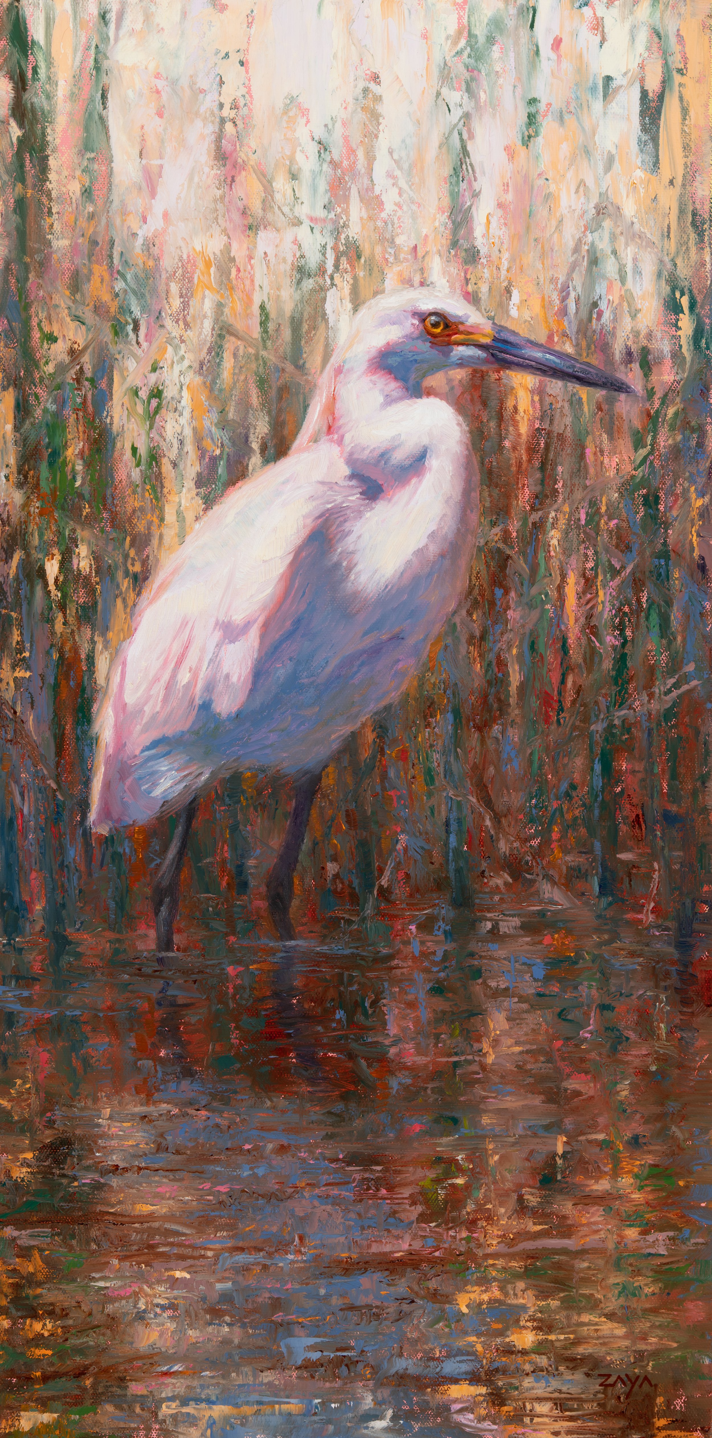 Marshland Wading