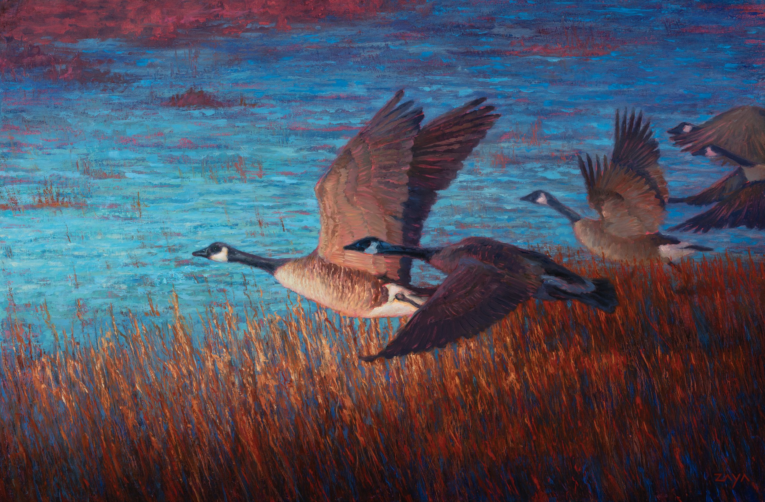Golden Hour of the Marsh