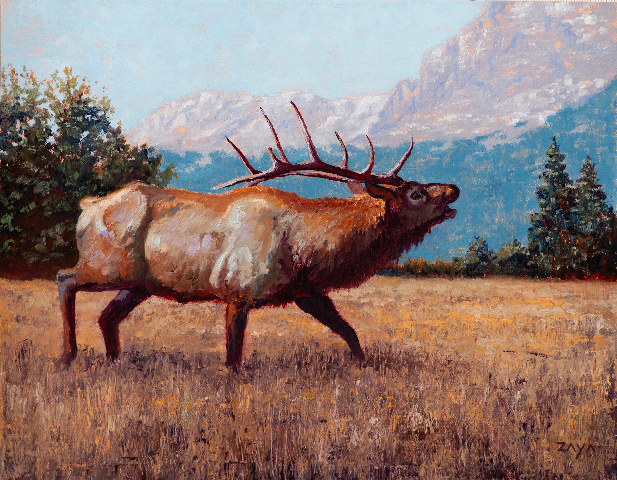 High Country Calling Study 11”x14” Oil on Linen Mounted to Board Available