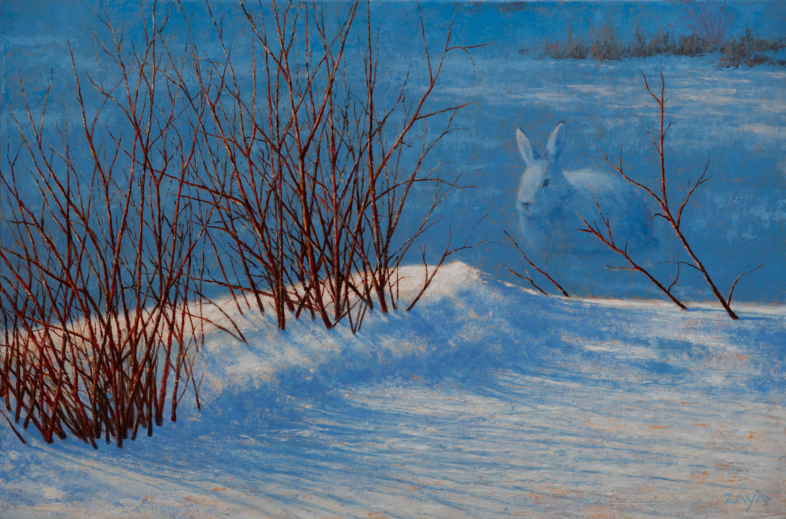 Snowshoes and Shadows