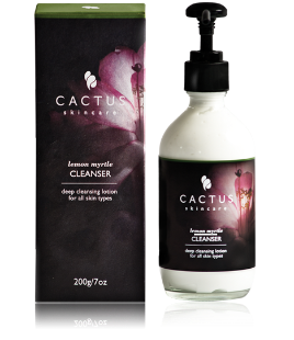 cleanser.png