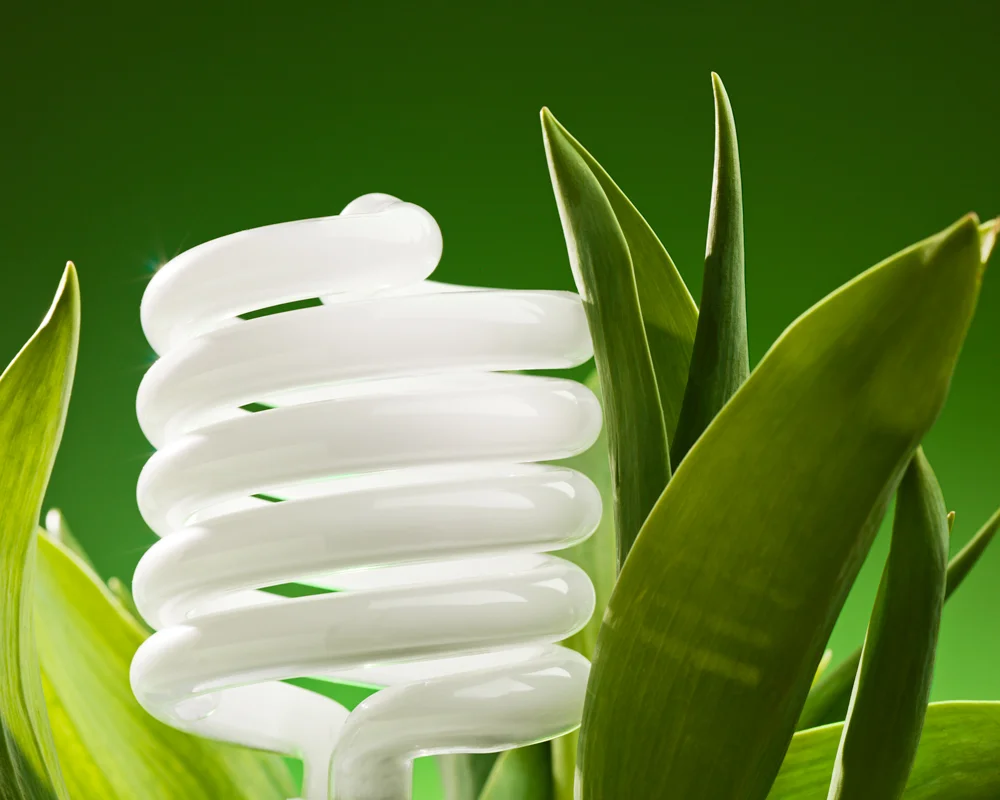 Green-Living_Anthony-Saleh.jpg