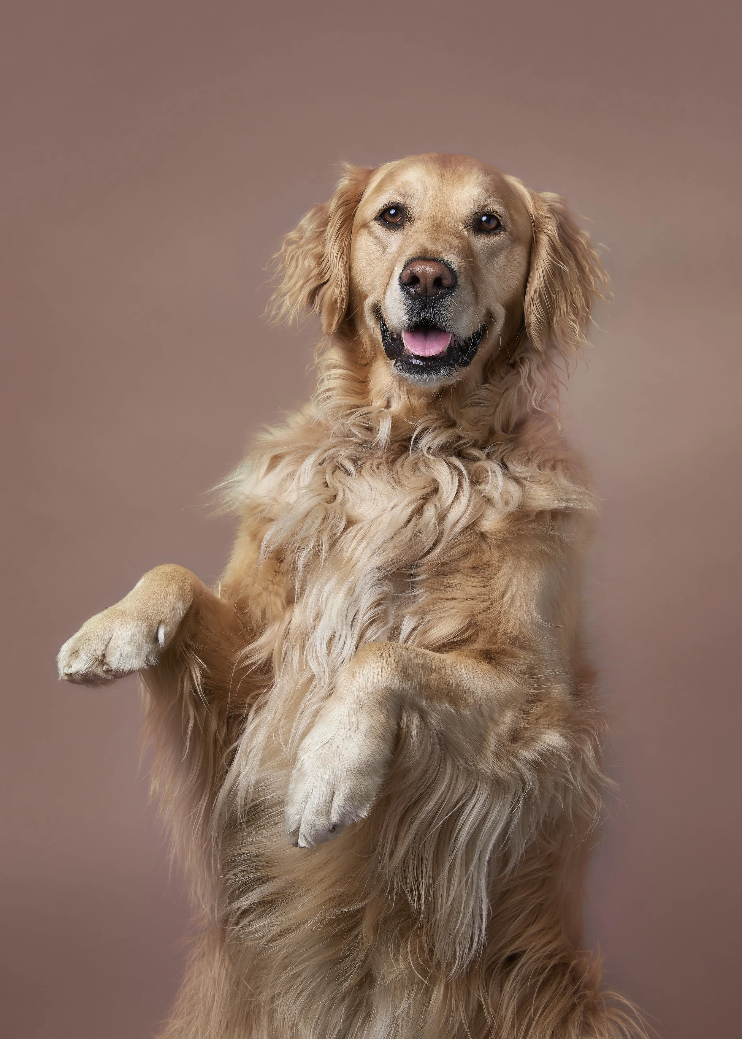 SPCA_AES0864 2.jpg