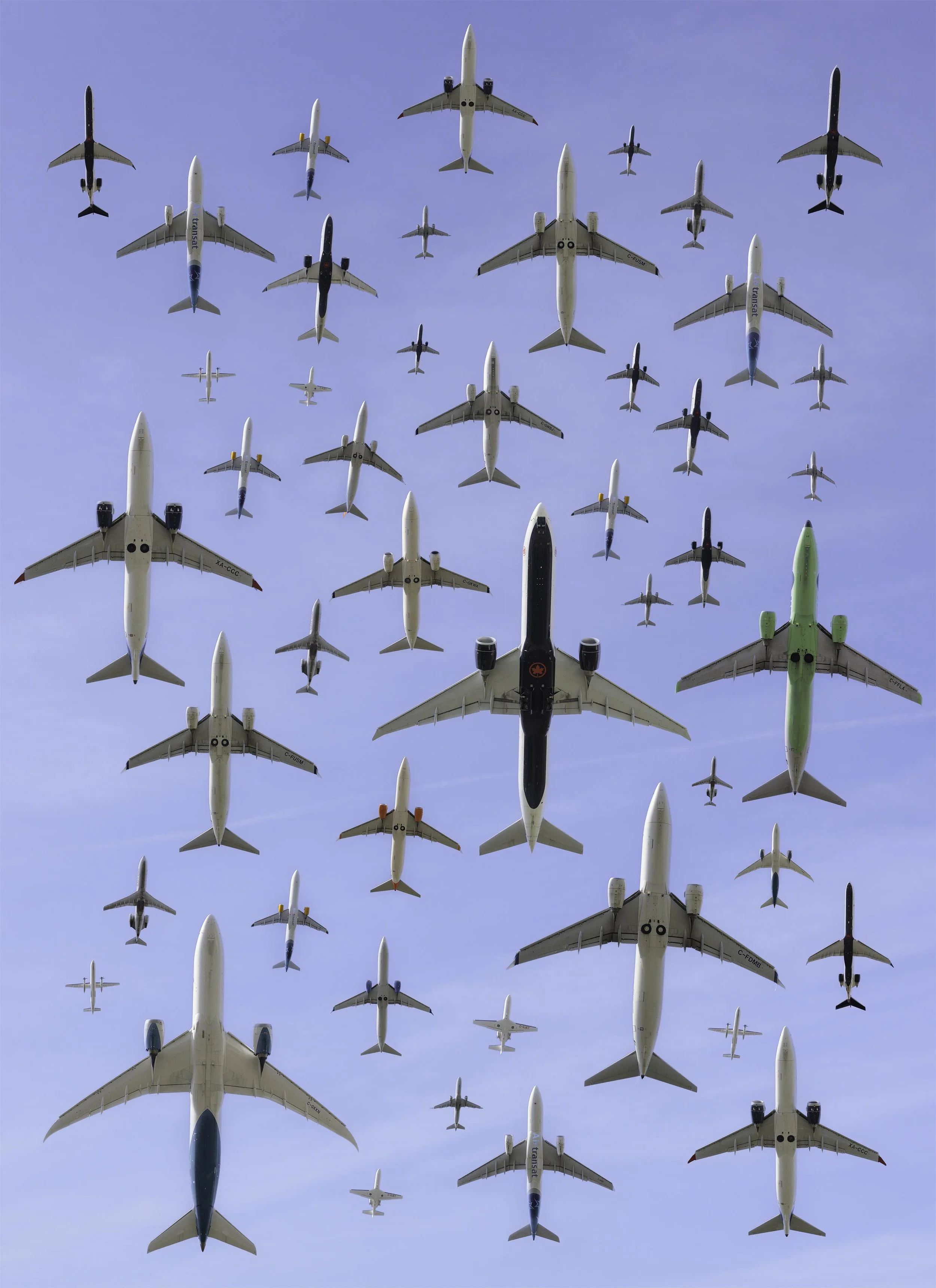 Peason_1 Small.jpg
