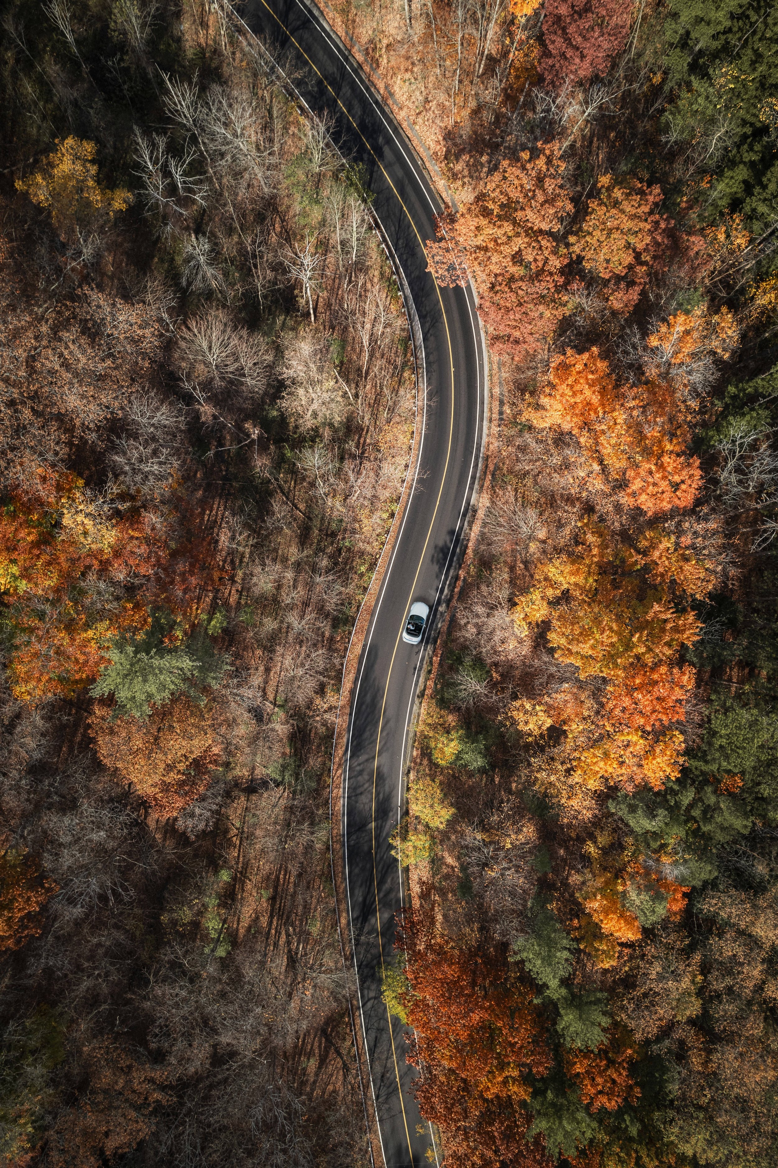 Autumn_z3DJI_0911.jpg