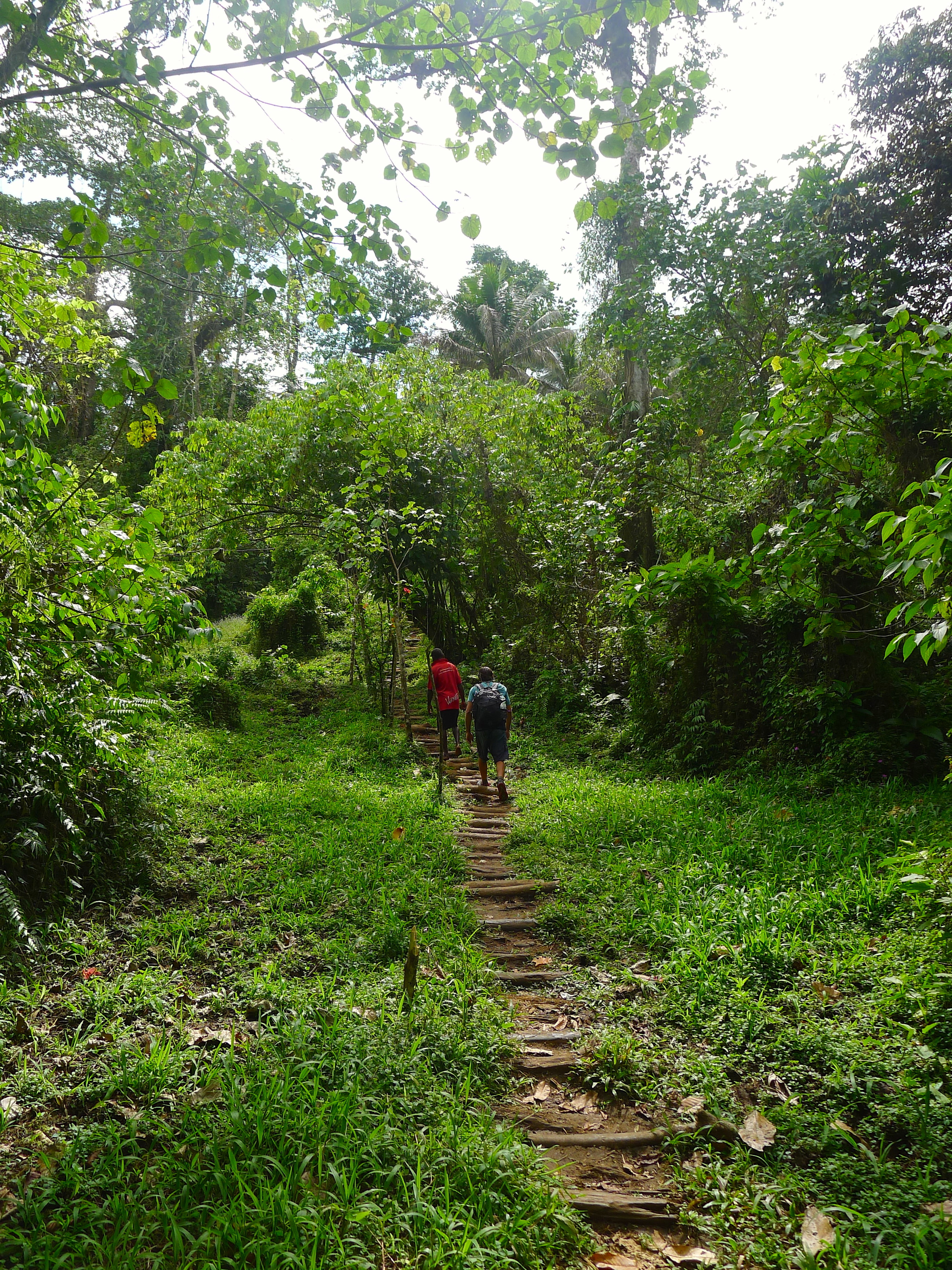  MILLENNIUM CAVES SANTO ISLAND VANUATU 