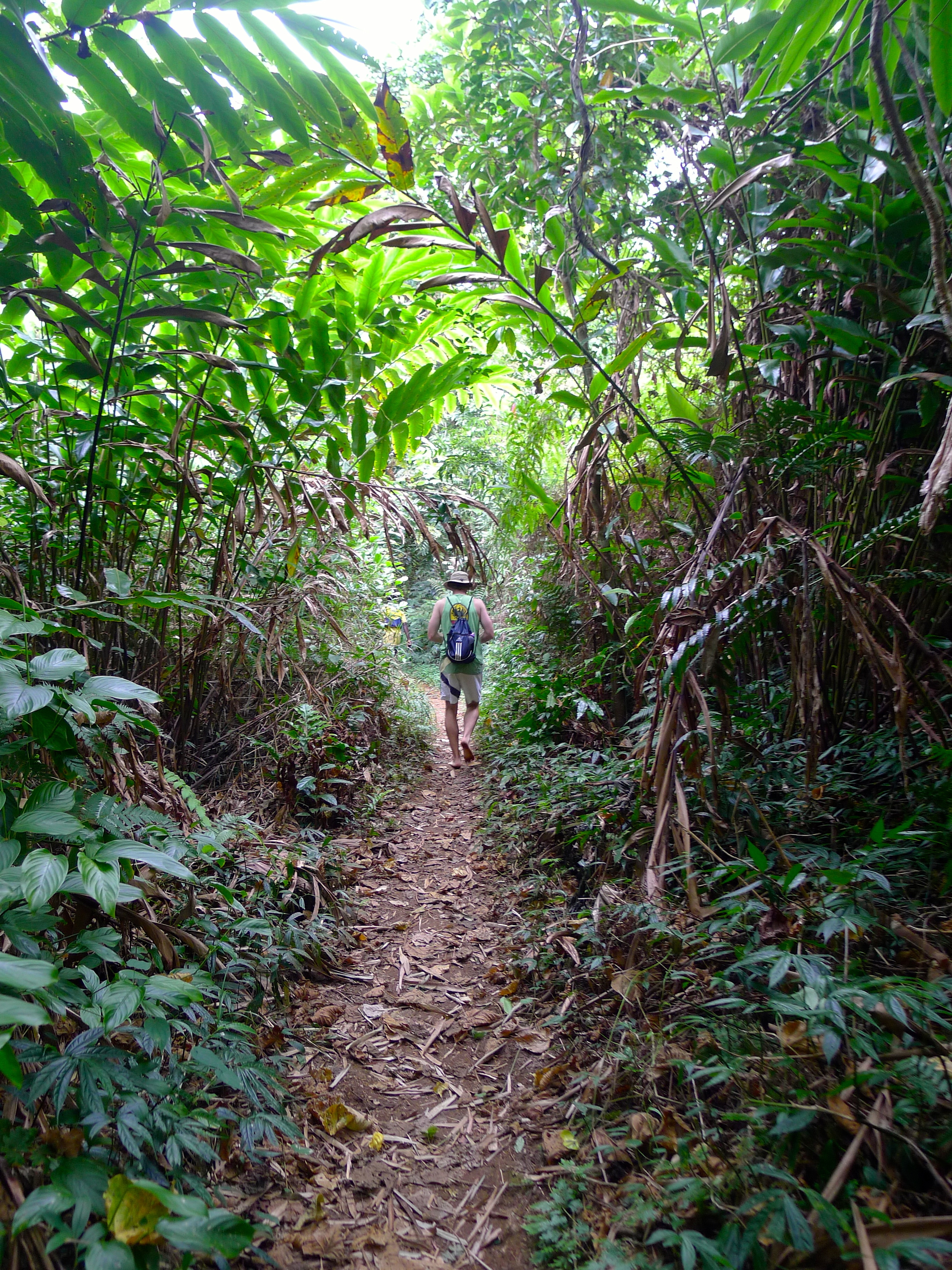  MILLENNIUM CAVES SANTO ISLAND VANUATU 