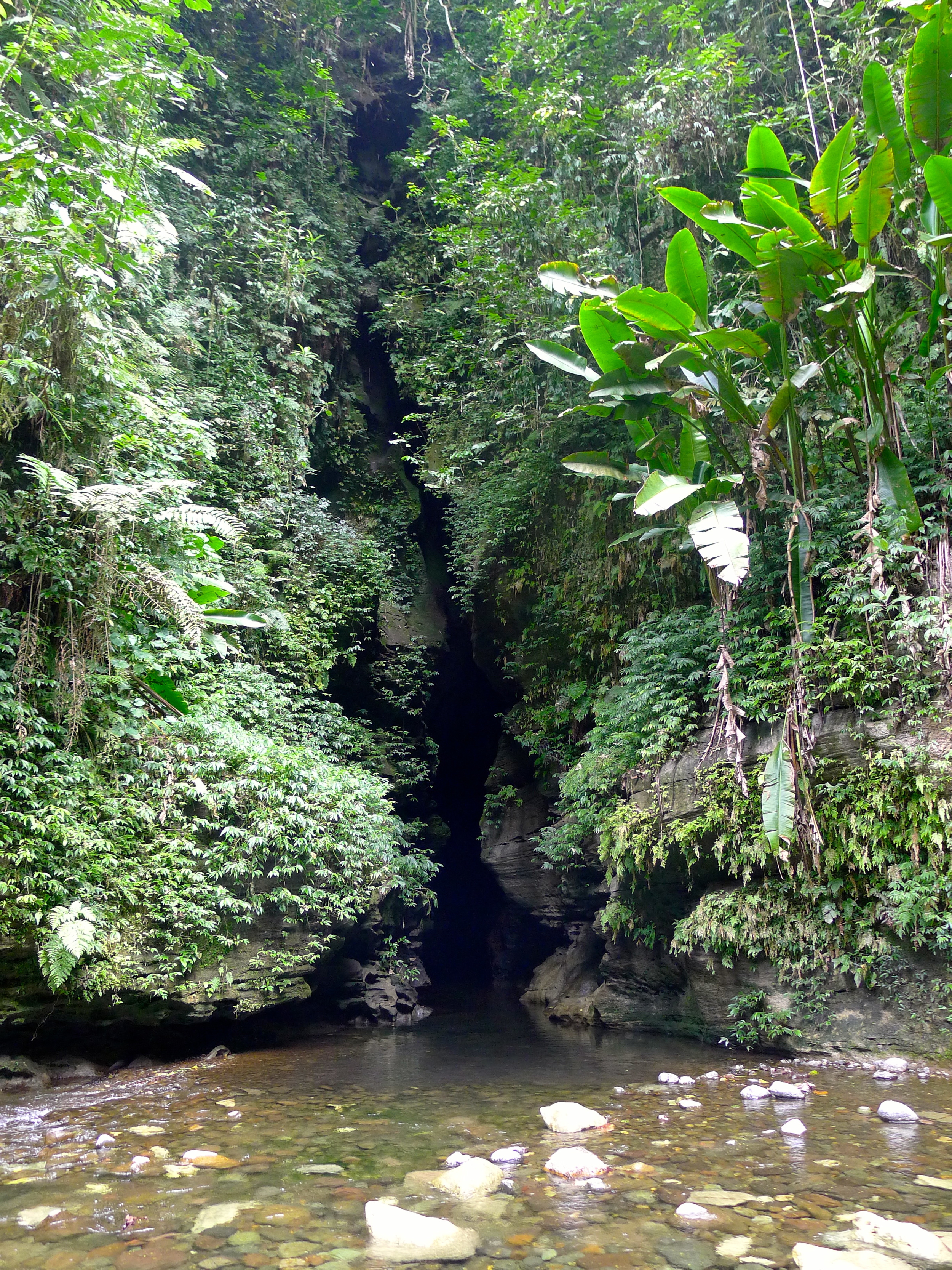  MILLENNIUM CAVES SANTO ISLAND VANUATU 