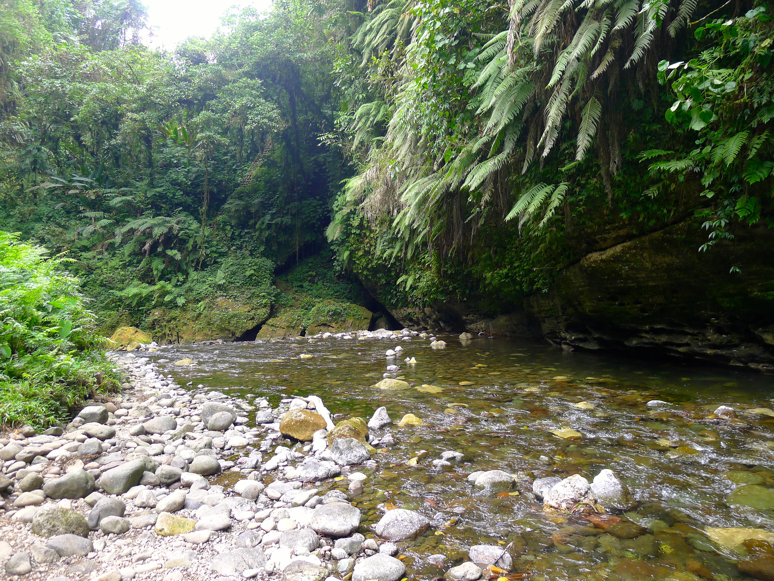  MILLENNIUM CAVES SANTO ISLAND VANUATU 