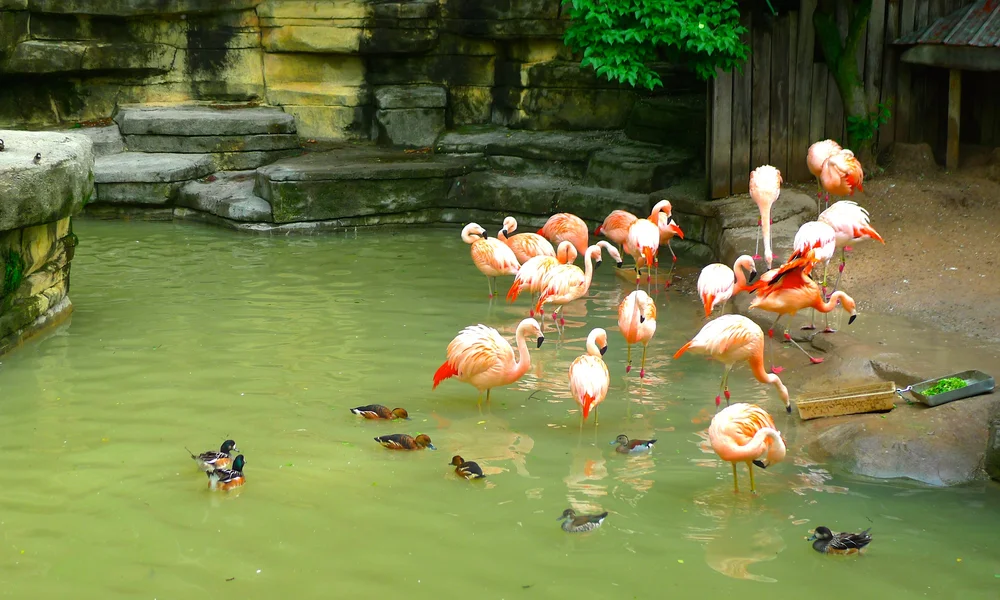 John Ball Zoo, Grand Rapids MI