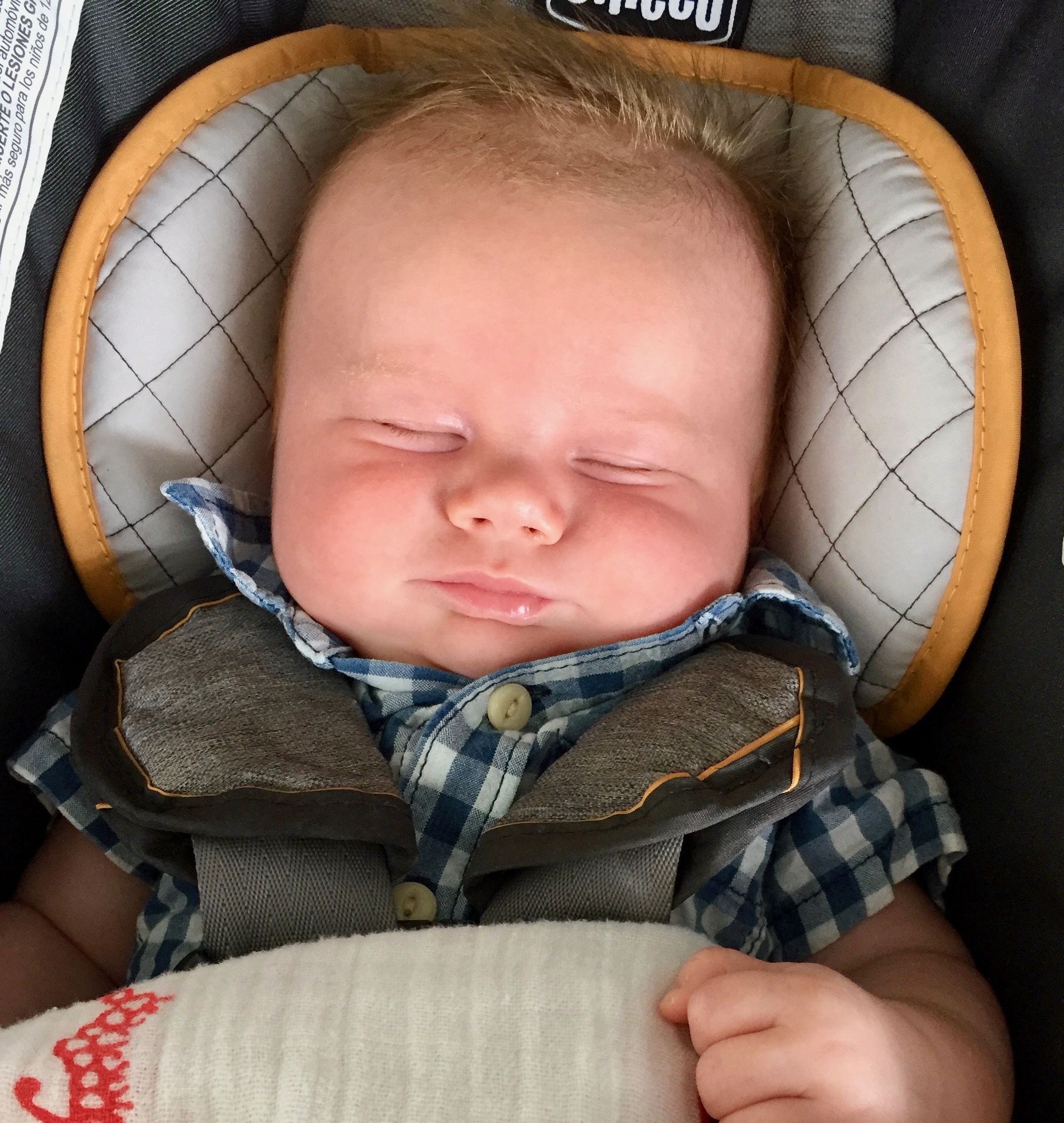Thomas Christopher at 11 weeks old. 