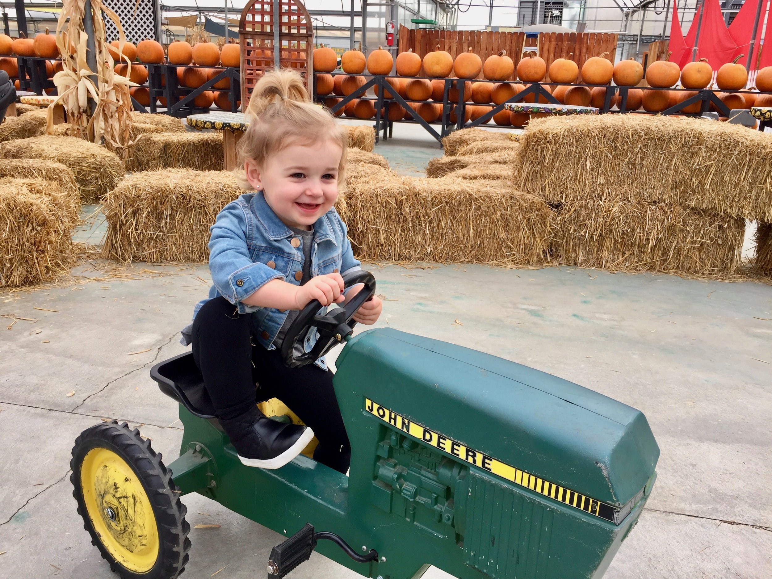 Koetsiers Kids Playland.jpg