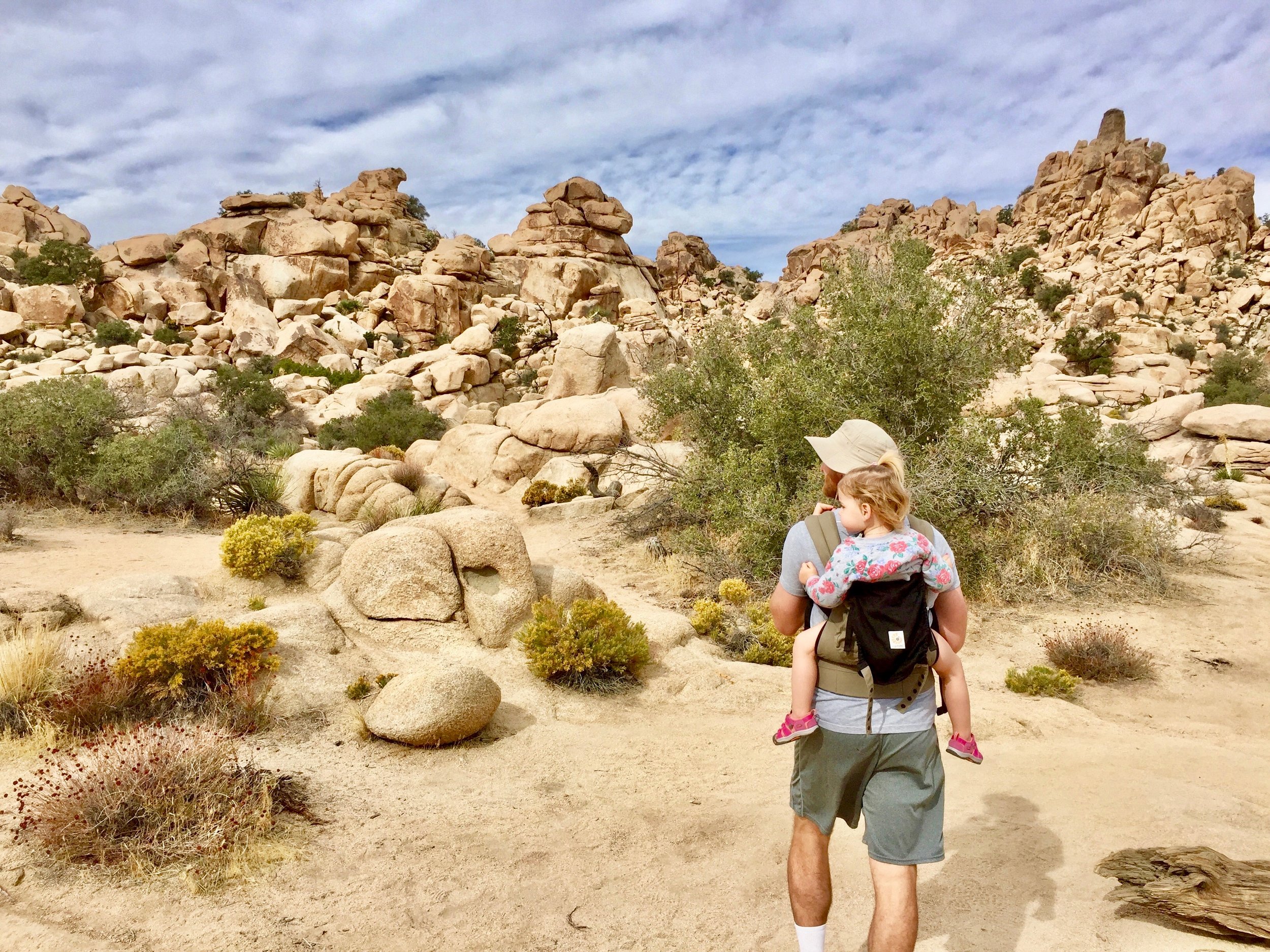 Joshua Tree Family Vacation 2.jpg