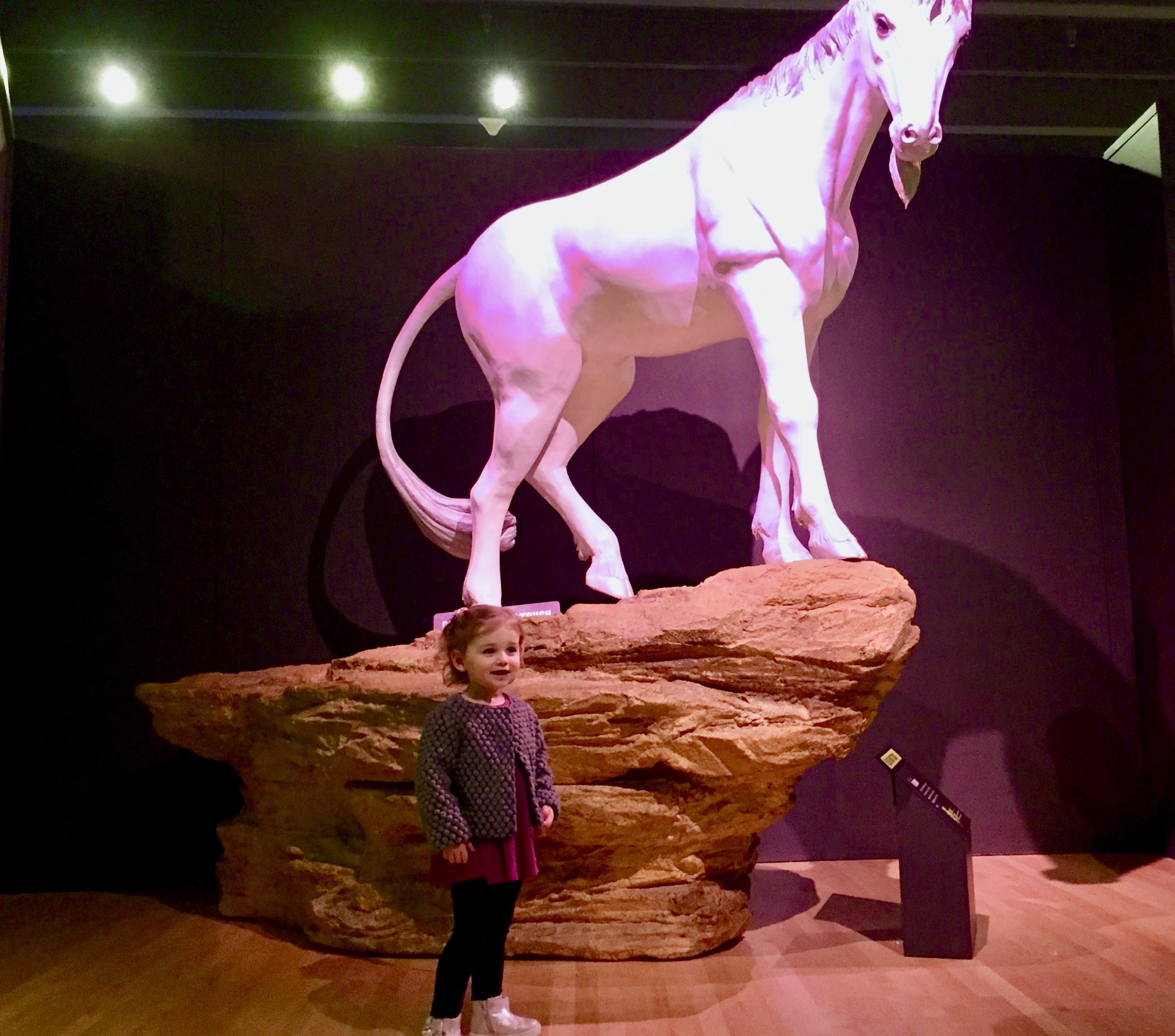 Grand Rapids Public Museum Unicorns.jpg