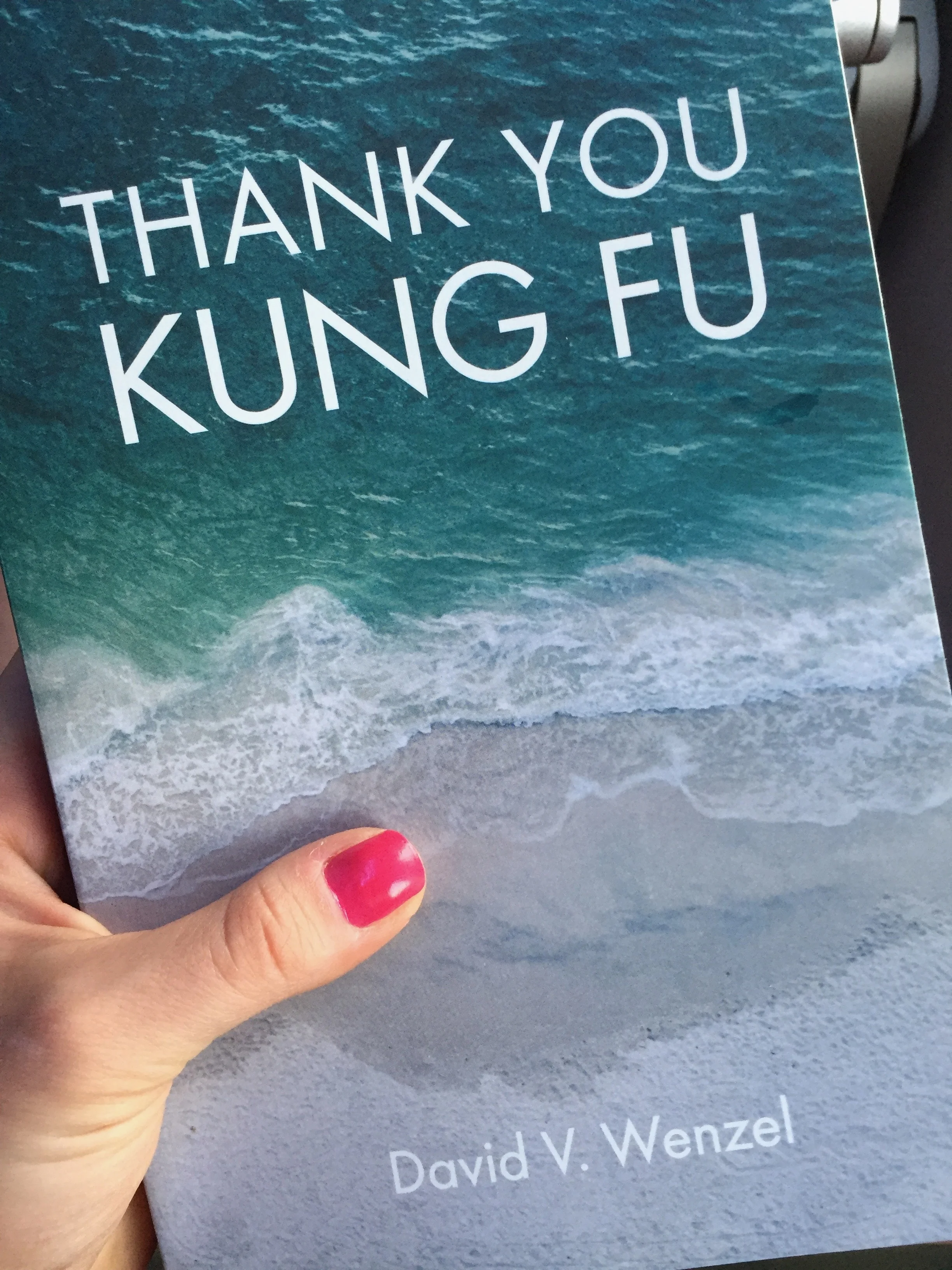 Thank You Kung Fu David Wenzel.jpg