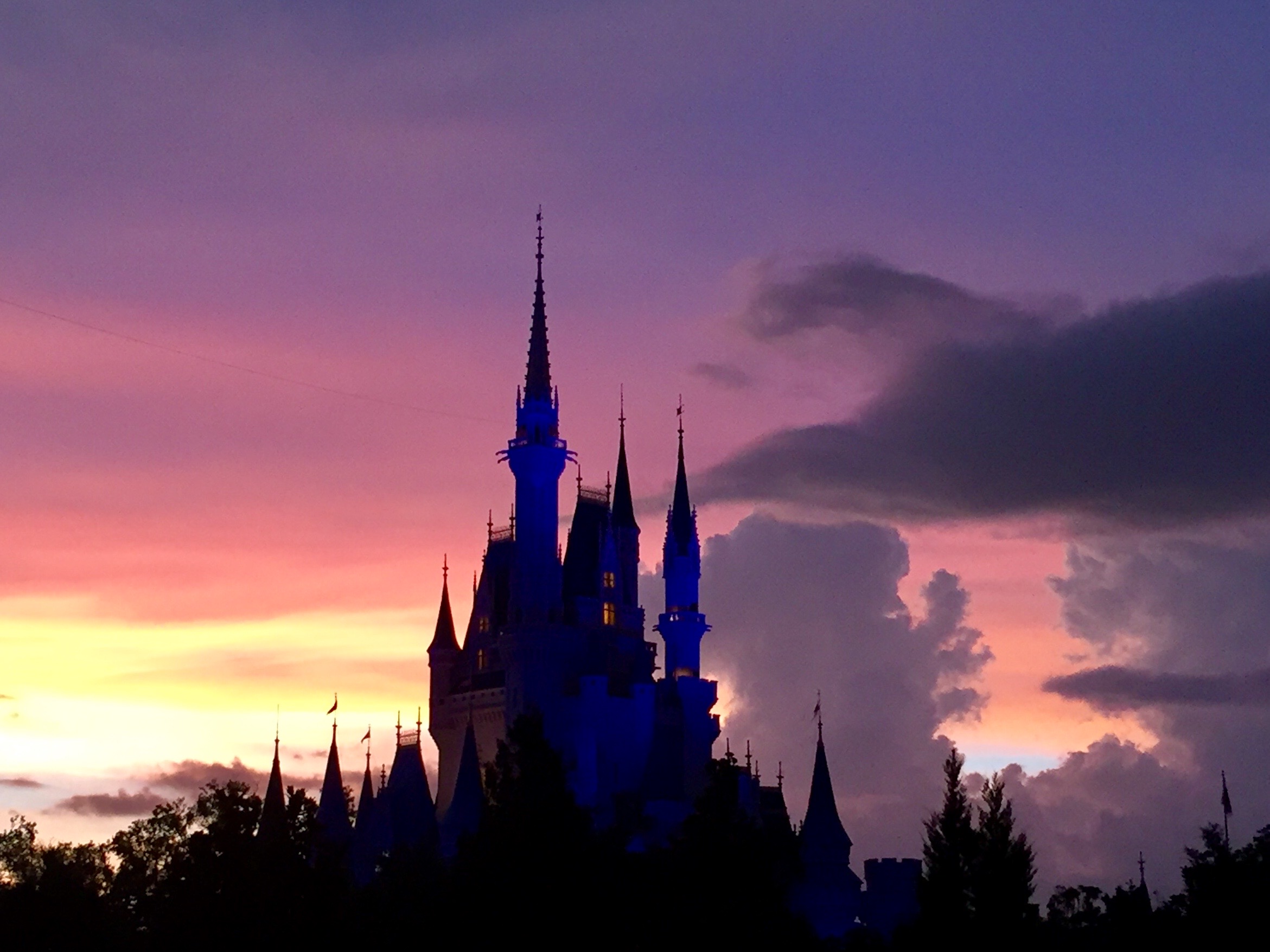 Disney World Castle Pic.jpg