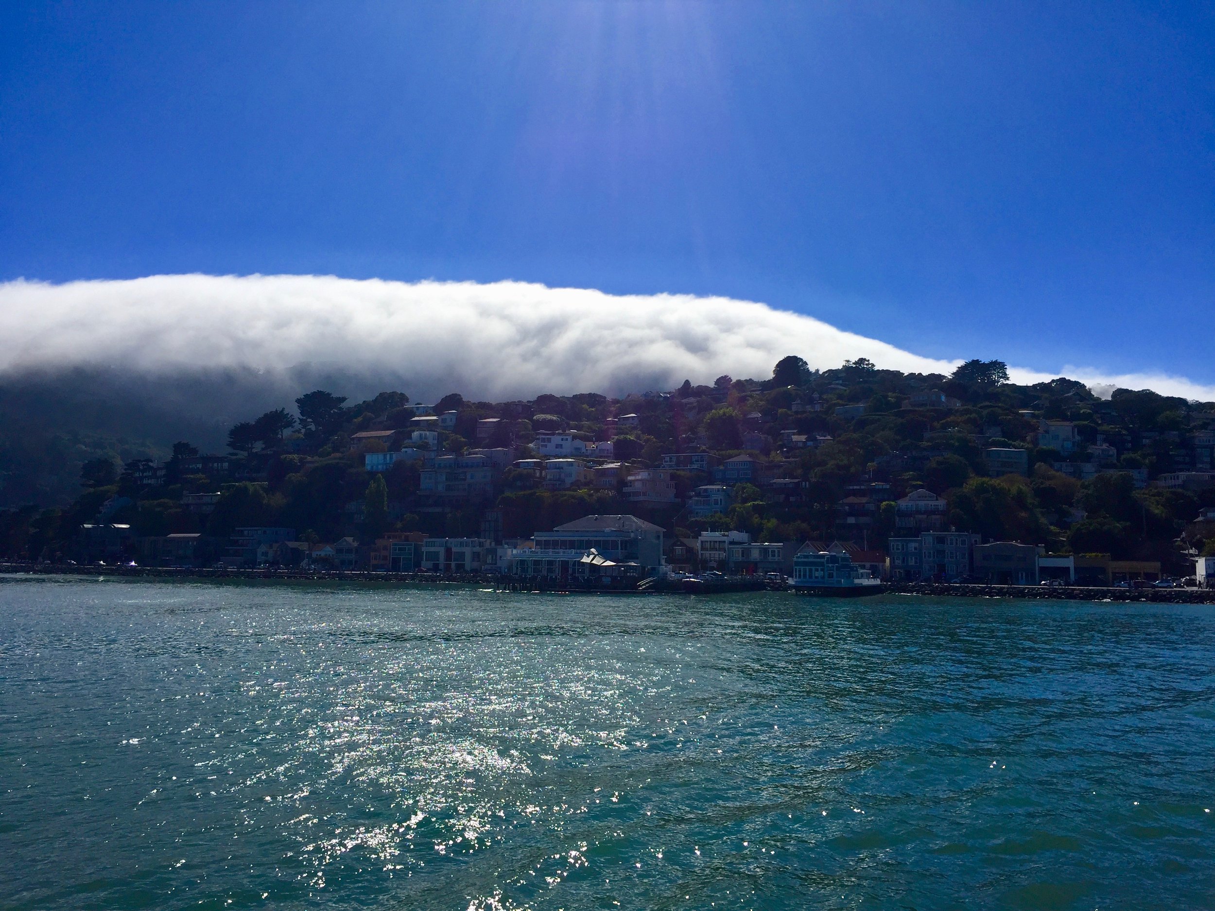 Ferry San Francisco Bay.jpg