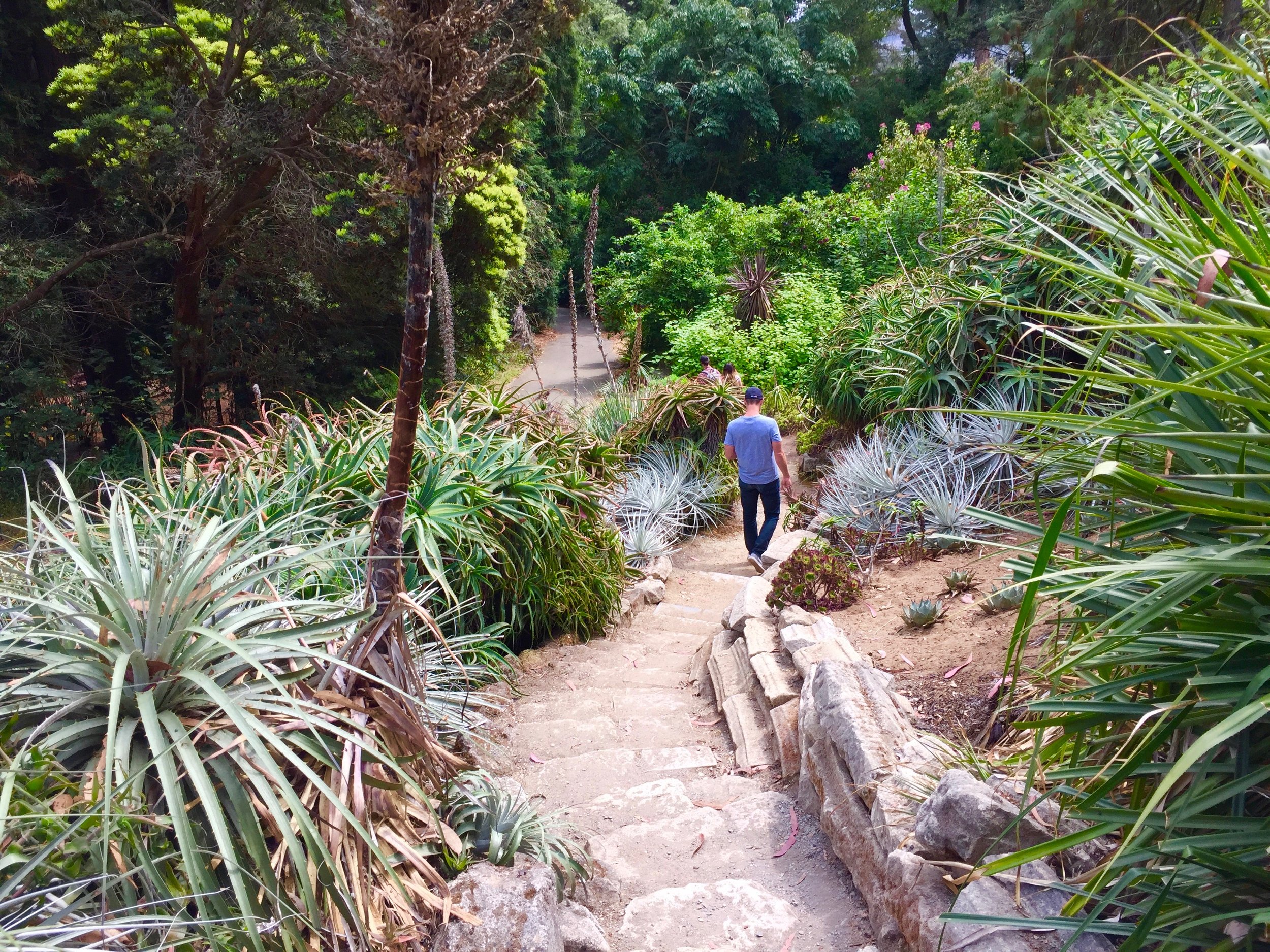 Botanicale Garden San Francisco .jpg