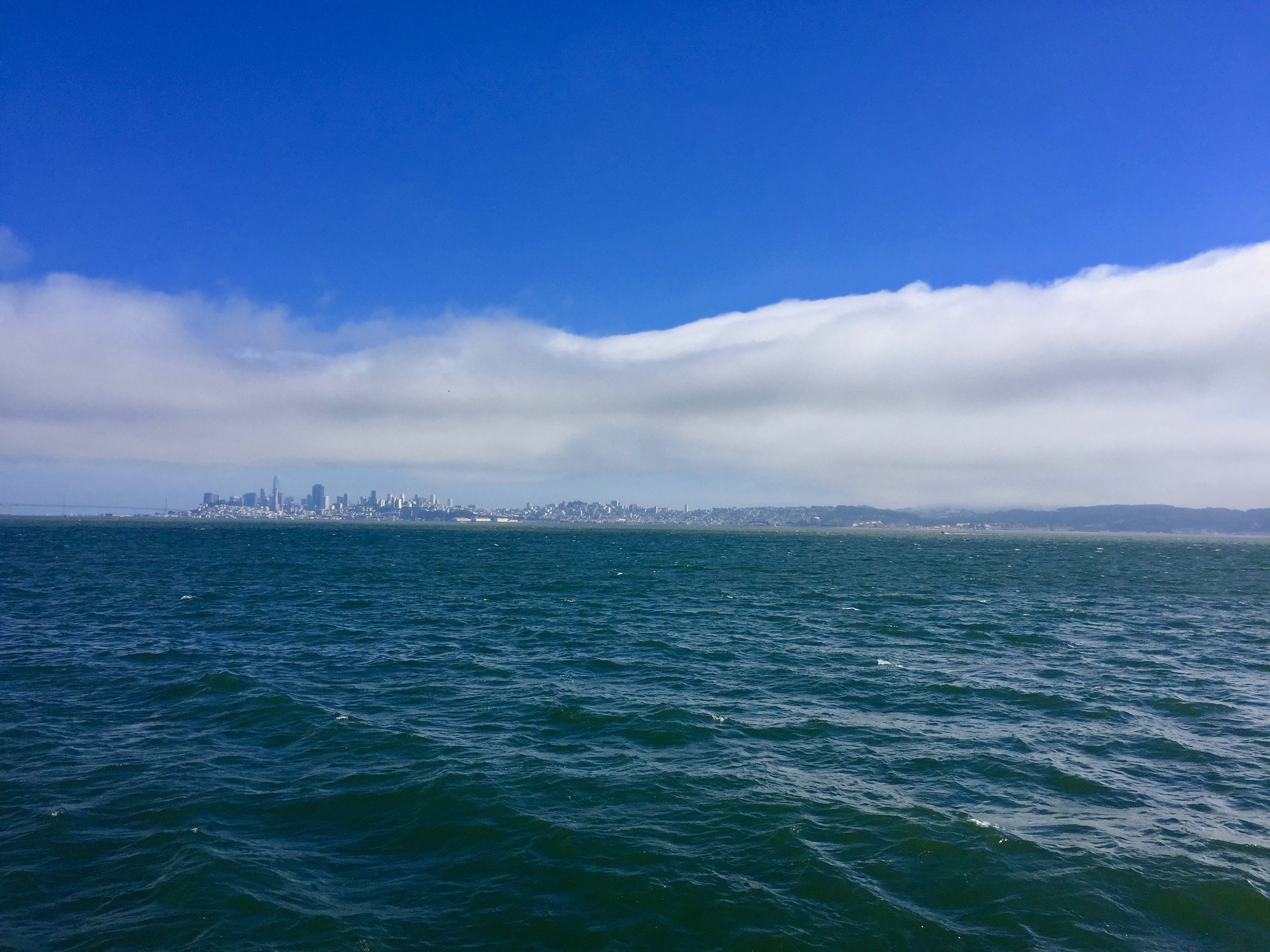 San Francisco Cityscape.jpg