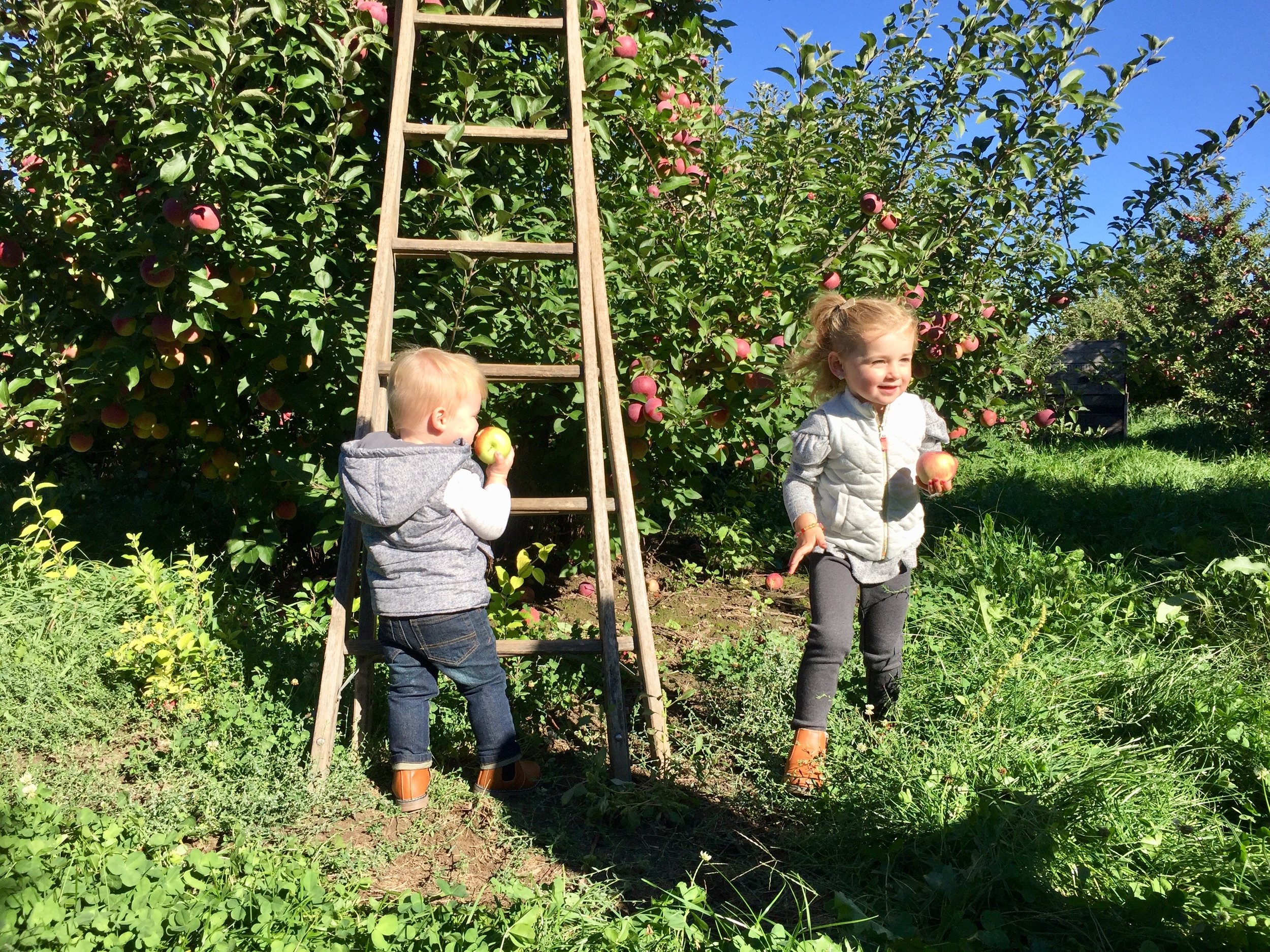 Klackle Orchards Kids.jpg