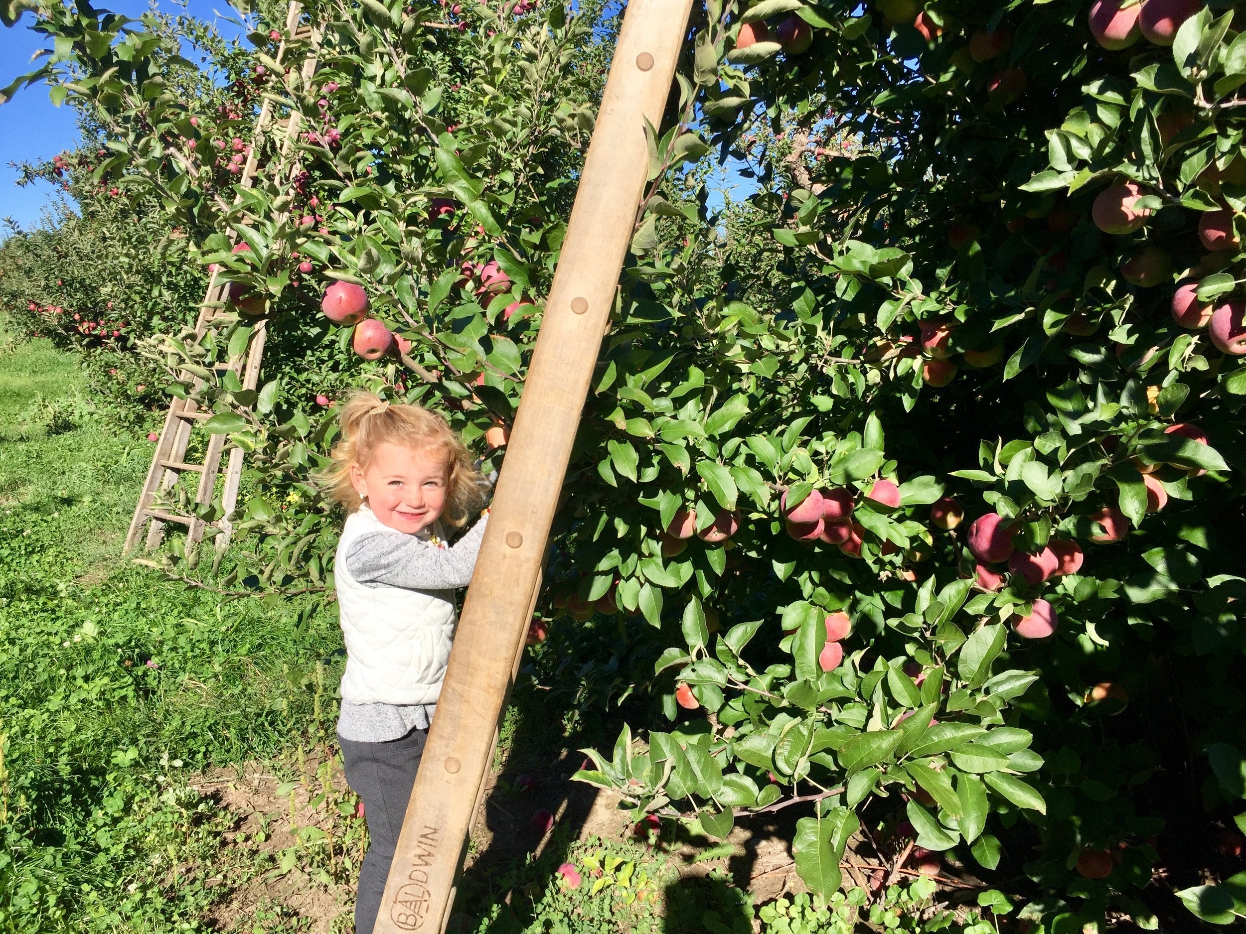 Klackle Orchards Natalie.jpg